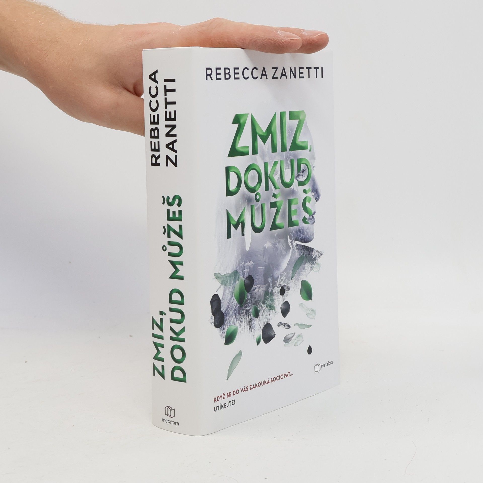 Rebecca Zanetti Zmiz, dokud můžeš