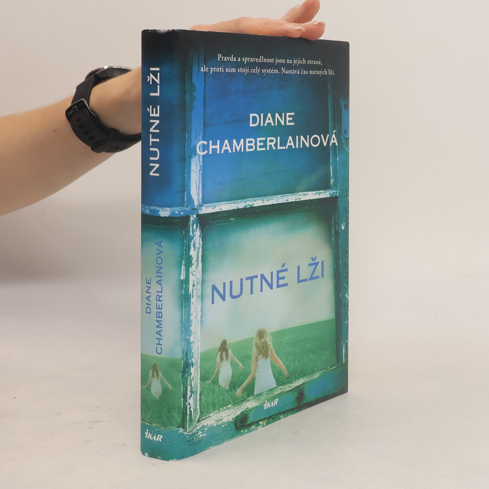 Diane Chamberlain Nutné lži