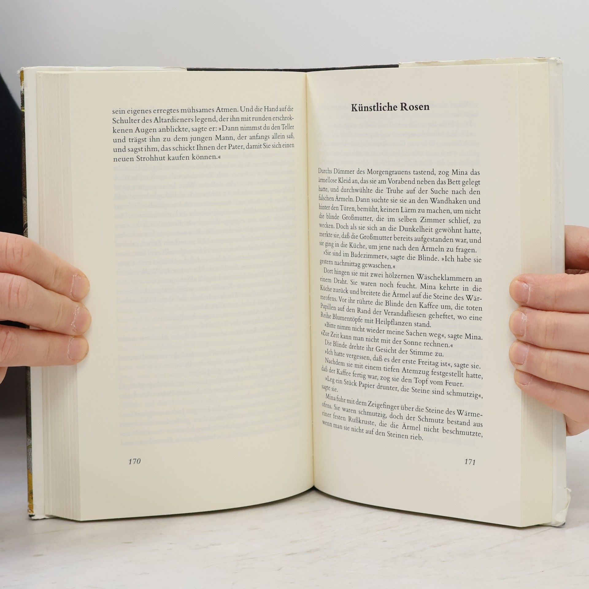 Gabriel García Márquez Die Nacht der Rohrdommeln