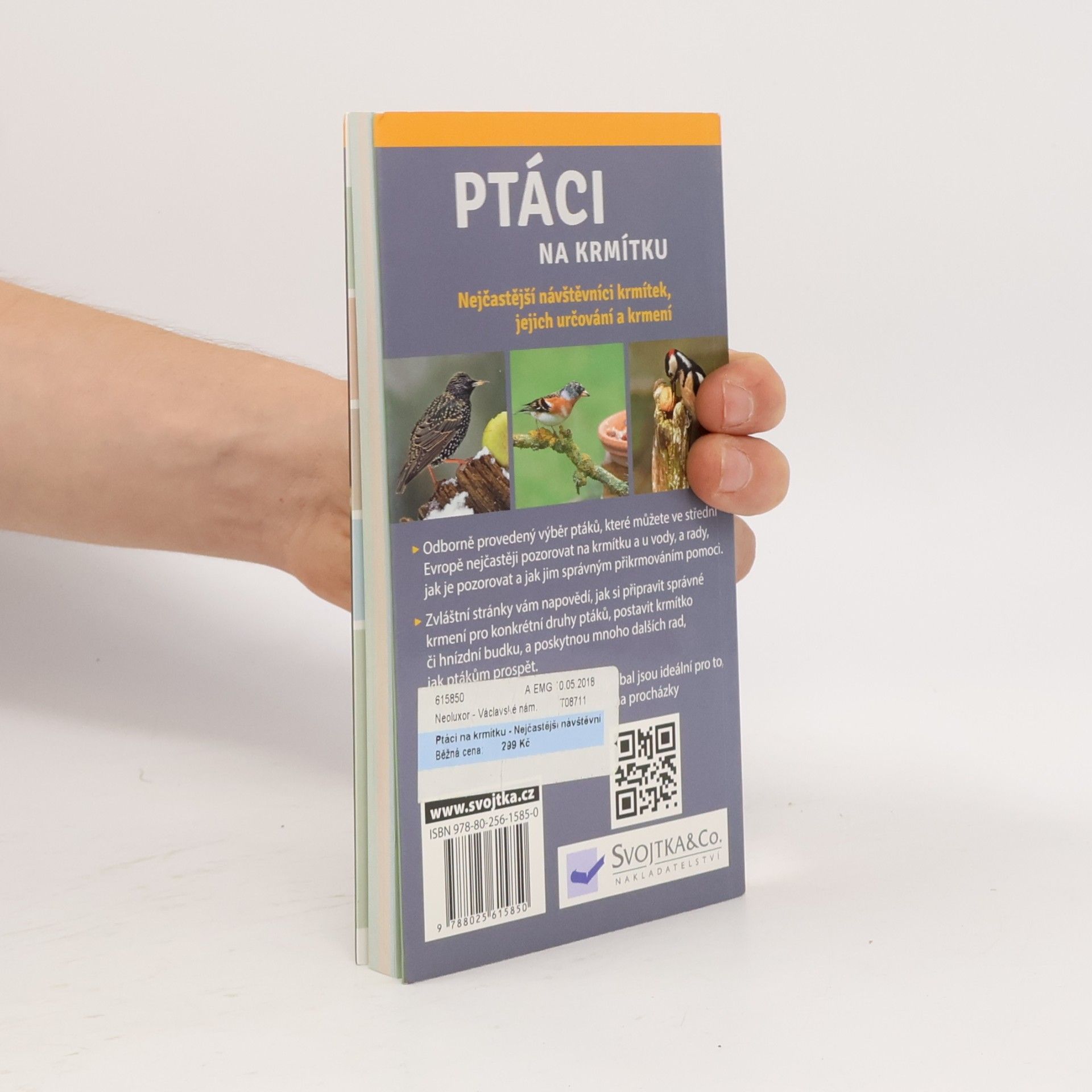 Angelika Lang Ptáci na krmítku
