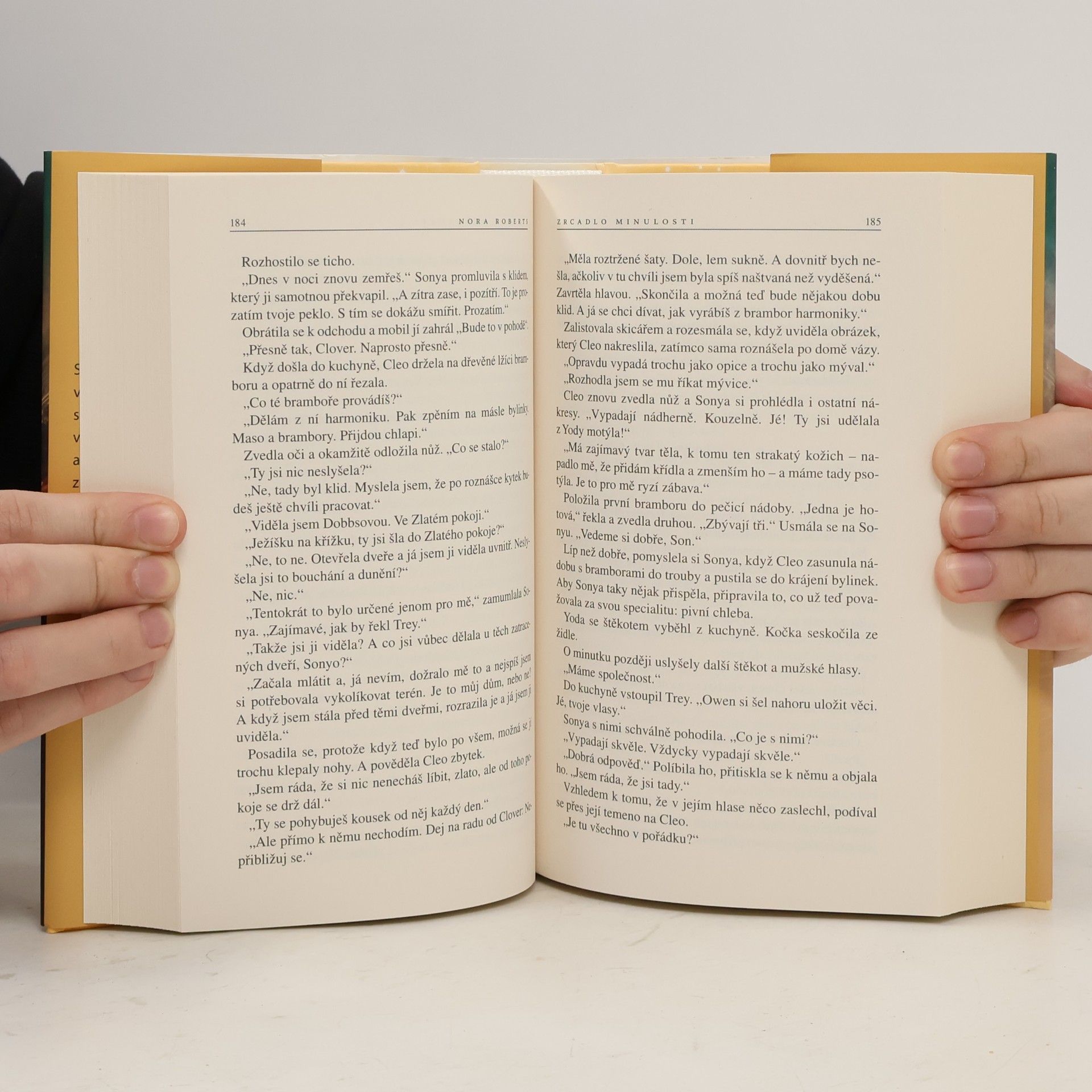 Nora Roberts Zrcadlo minulosti