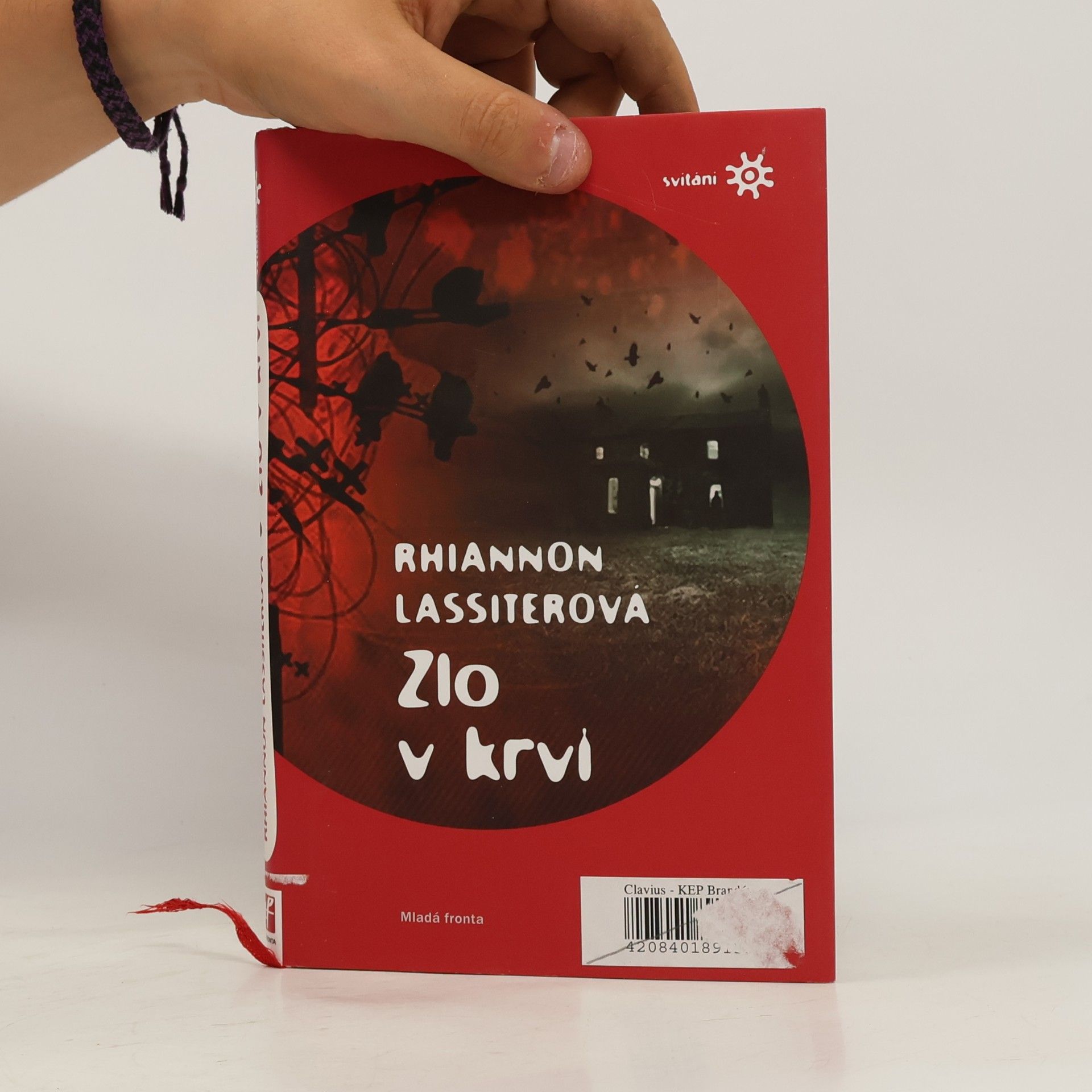 Rhiannon Lassiter Zlo v krvi