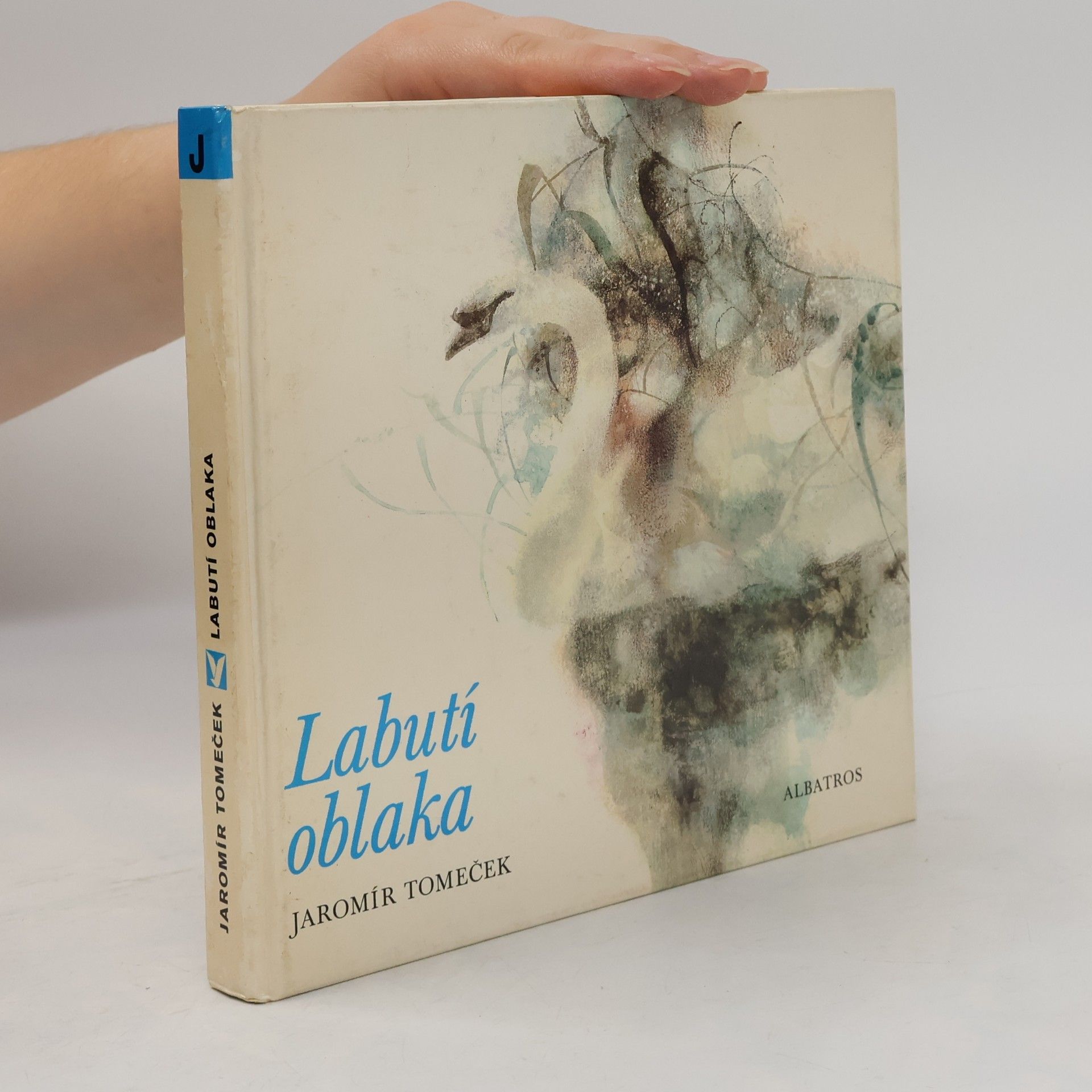 Zdeněk Brdlík Labutí oblaka. Sága o luhu