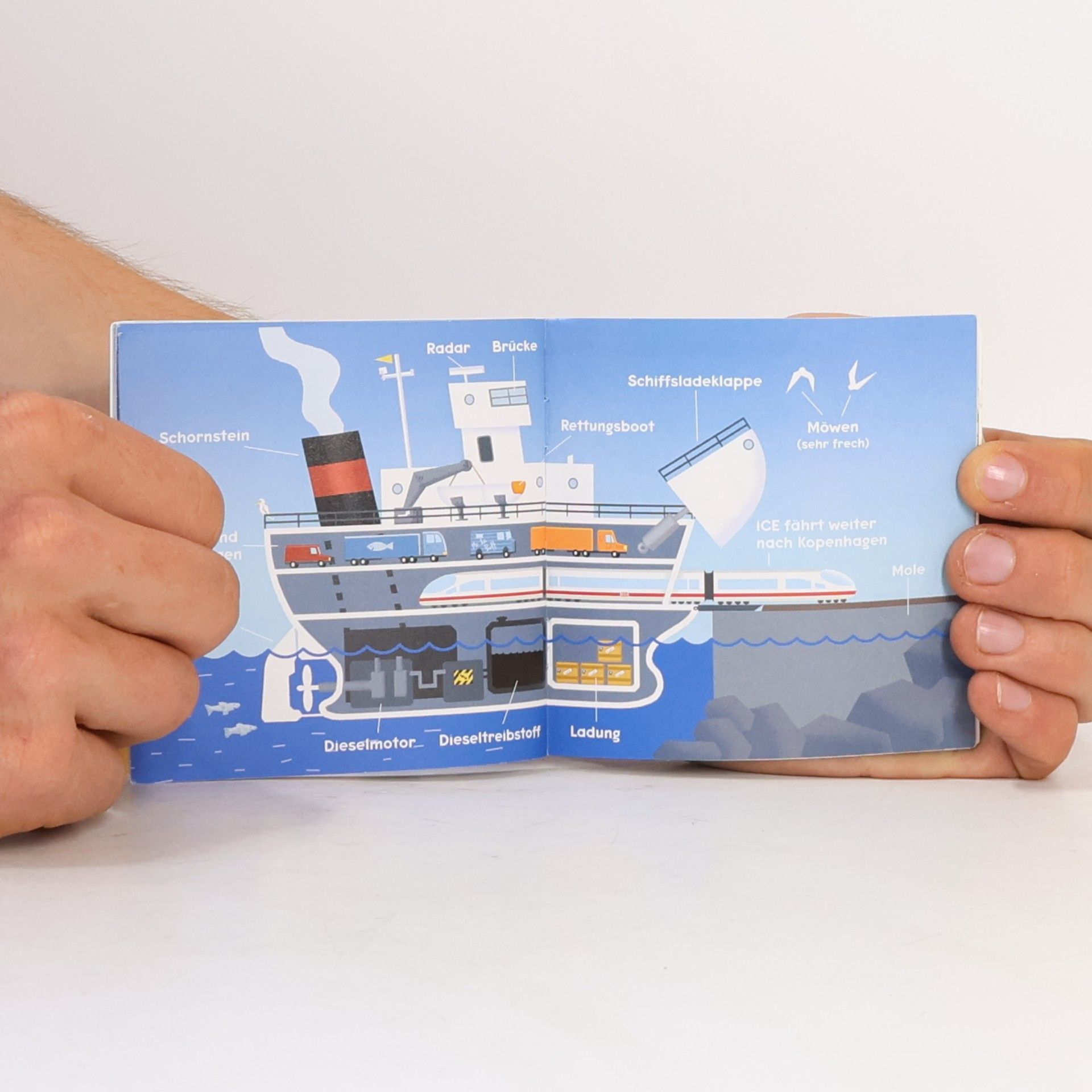 Autores varios Oli auf Reisen