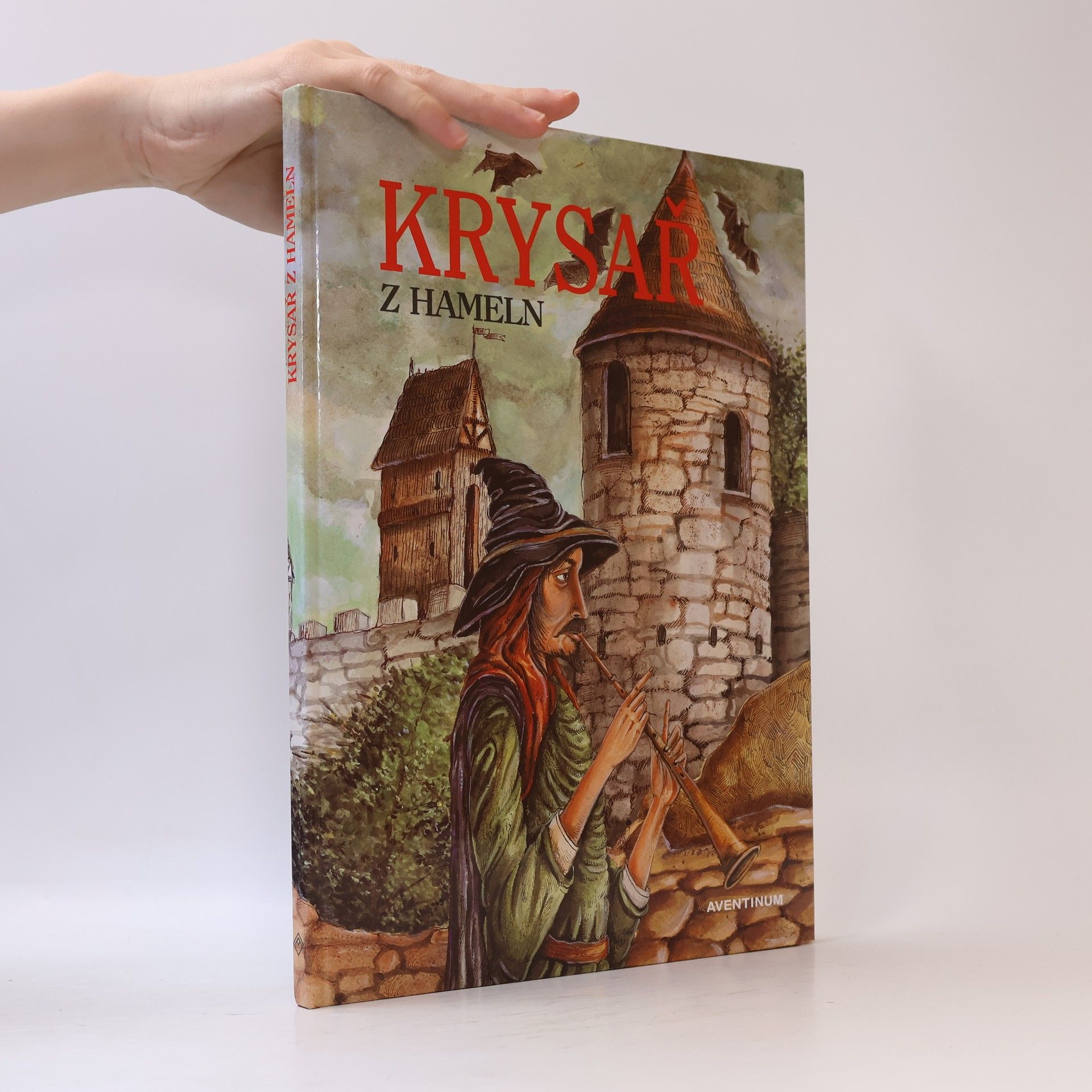 Kolektiv autorů Krysař z Hameln
