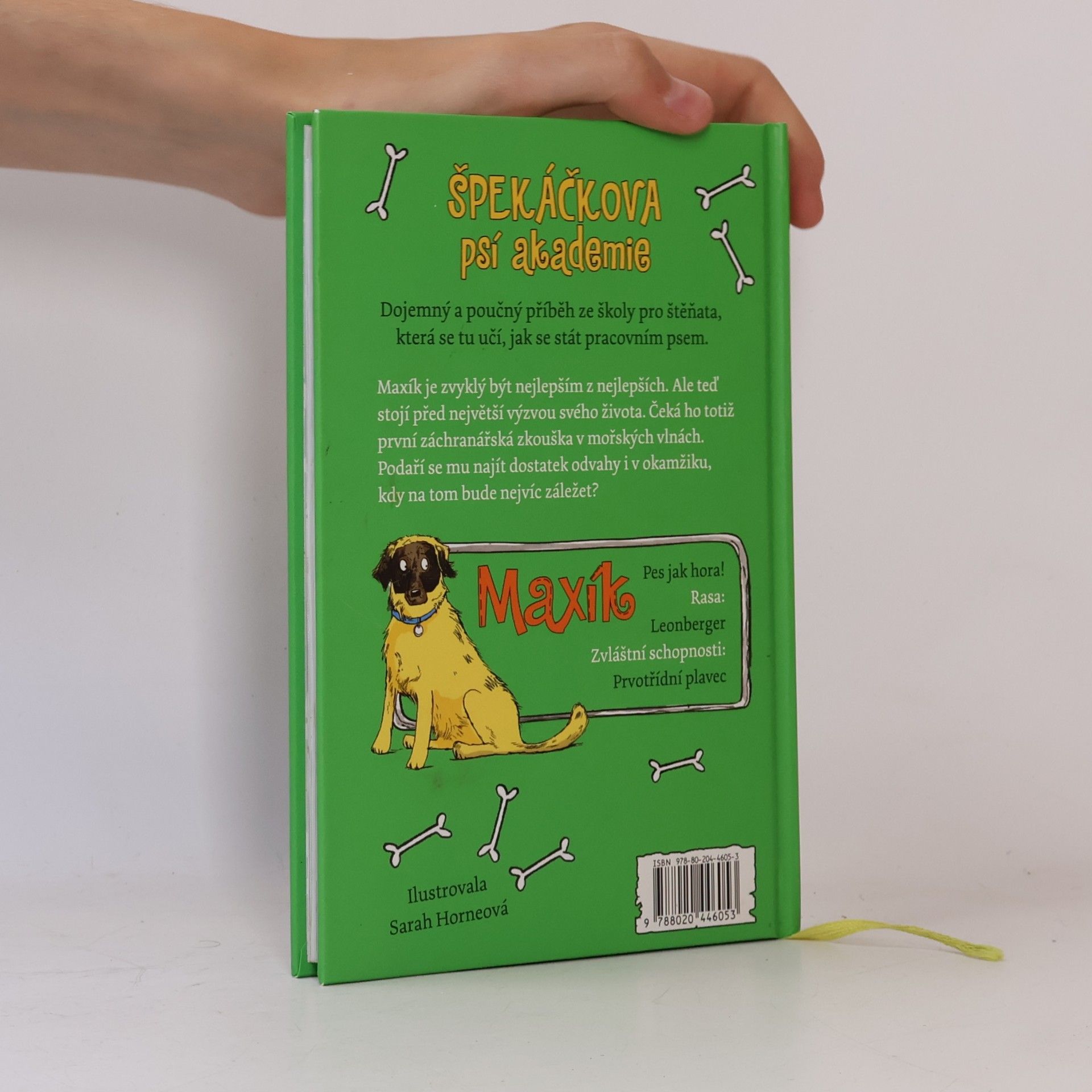 Gill Lewis Maxík a záchrana ve vlnách. Špekáčkova psí akademie 4