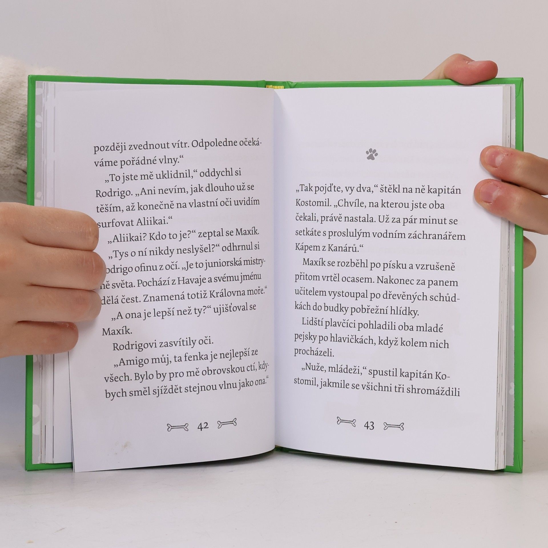 Gill Lewis Maxík a záchrana ve vlnách. Špekáčkova psí akademie 4