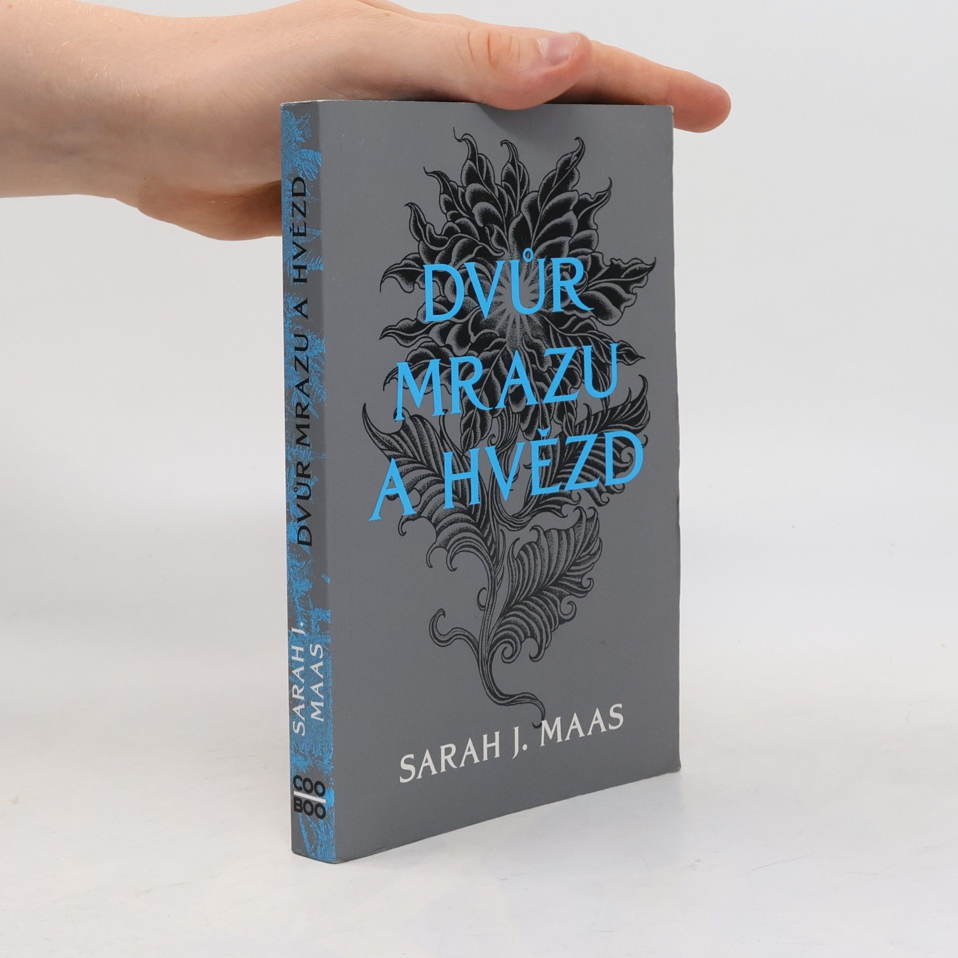 Sarah J. Maasová Dvůr mrazu a hvězd