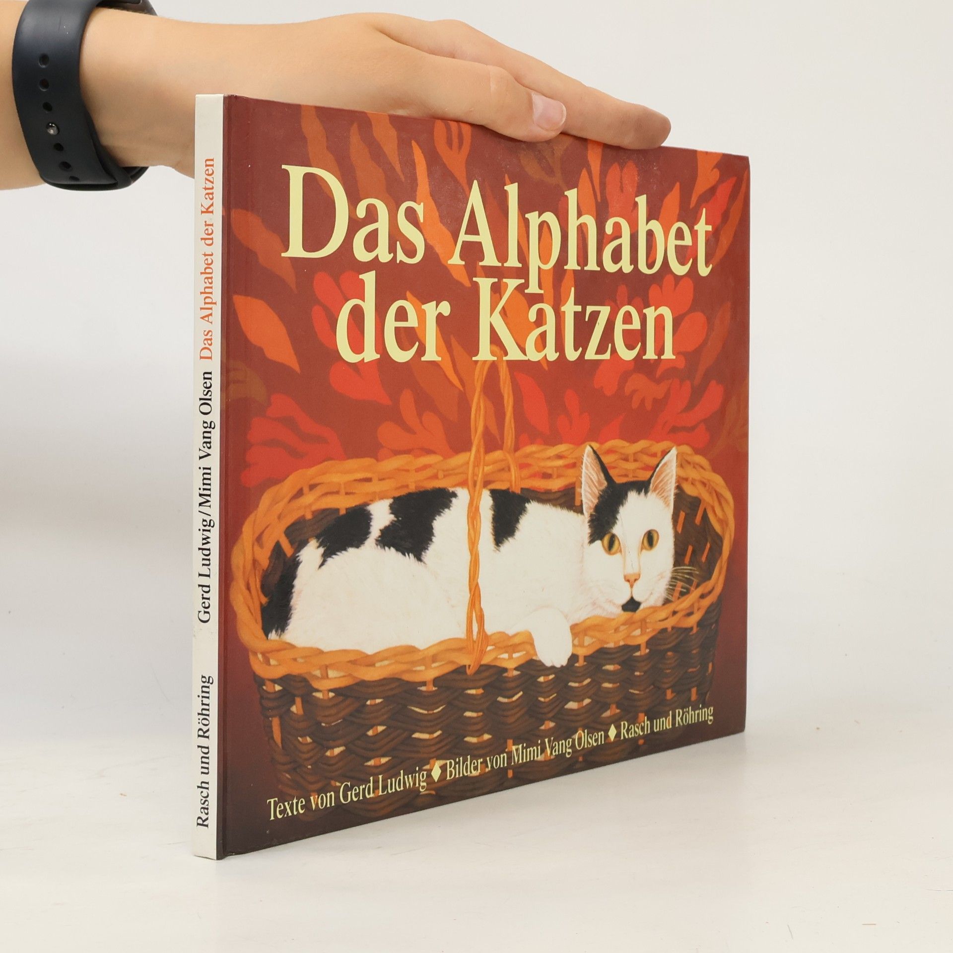 Mimi Vang Olsen Das Alphabet der Katzen