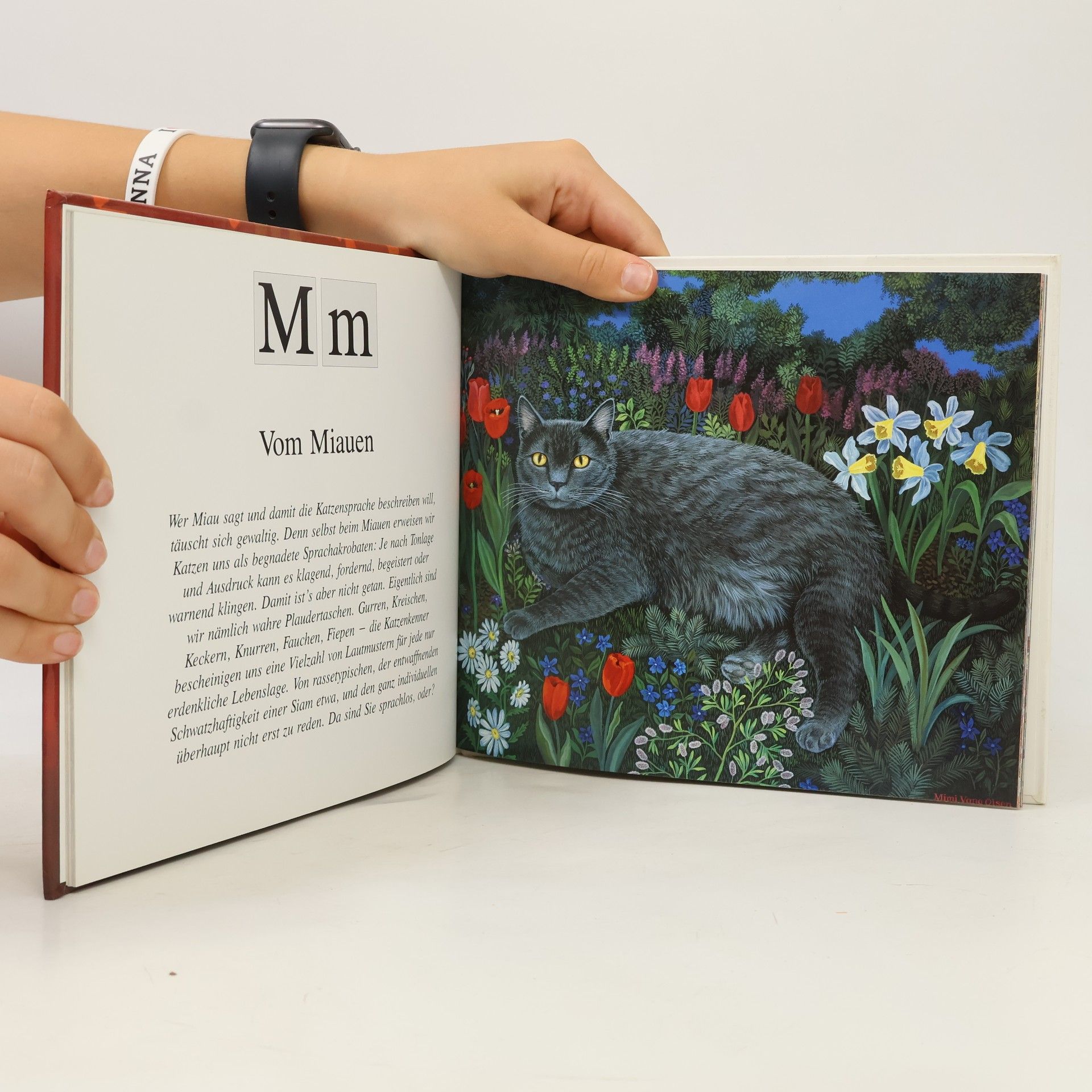 Mimi Vang Olsen Das Alphabet der Katzen
