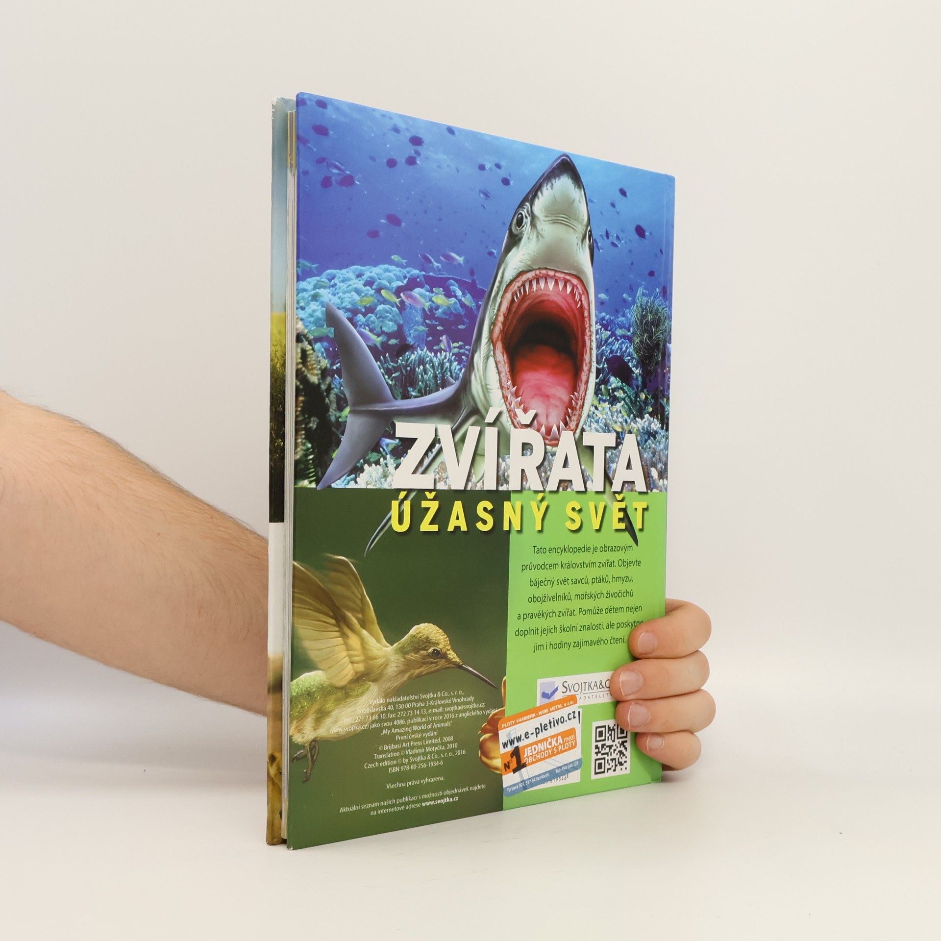 Vladimír Motyčka Zvířata. Úžasný svět.