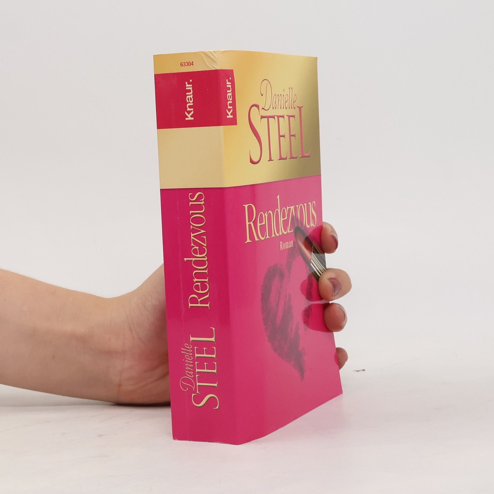 Danielle Steel Rendezvous