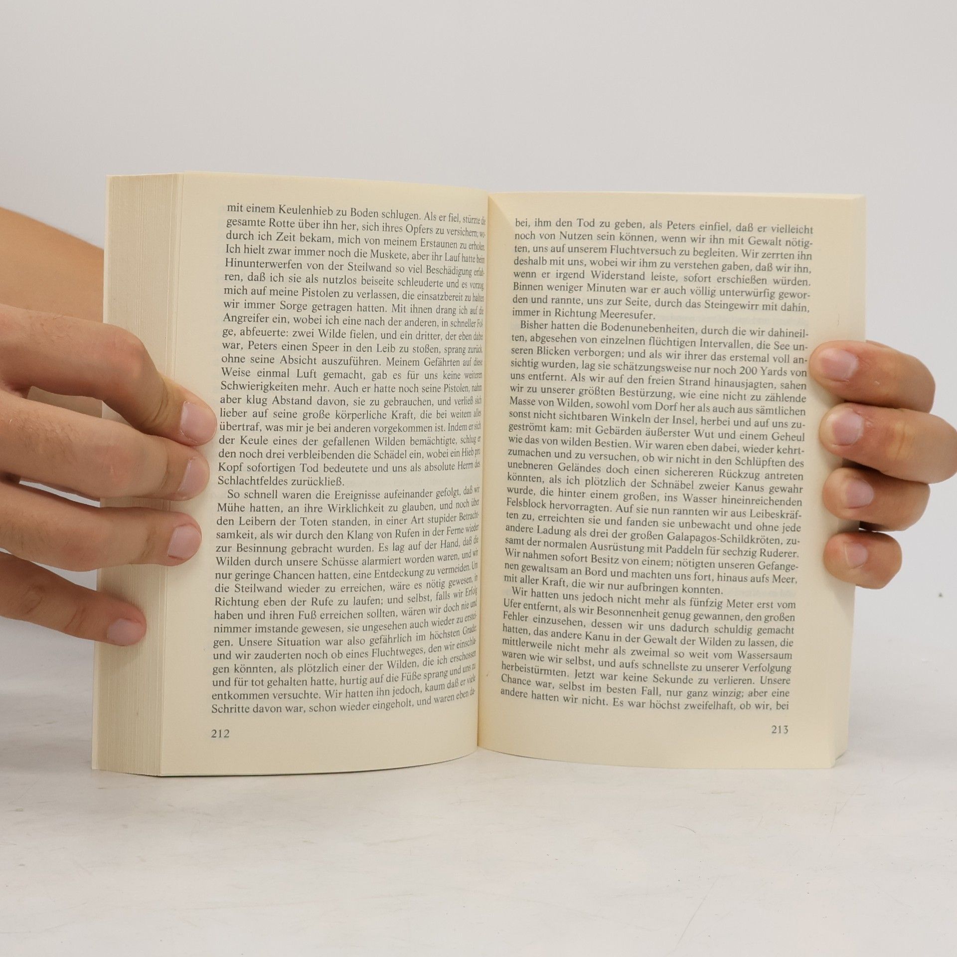Edgar Allan Poe Erzählungen des A. G. Pym Literaturkritik. Band 4