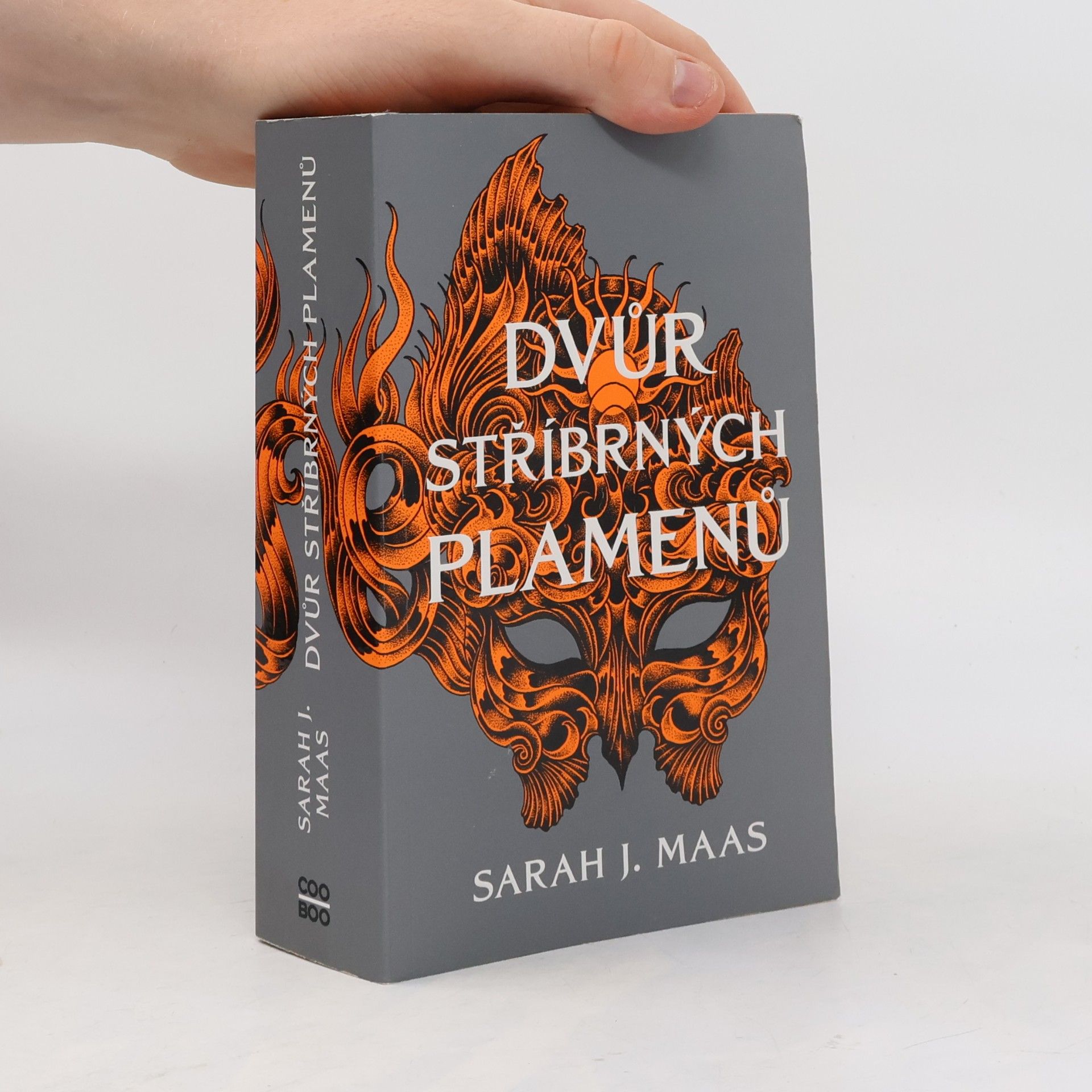 Sarah J. Maas Dvůr stříbrných plamenů