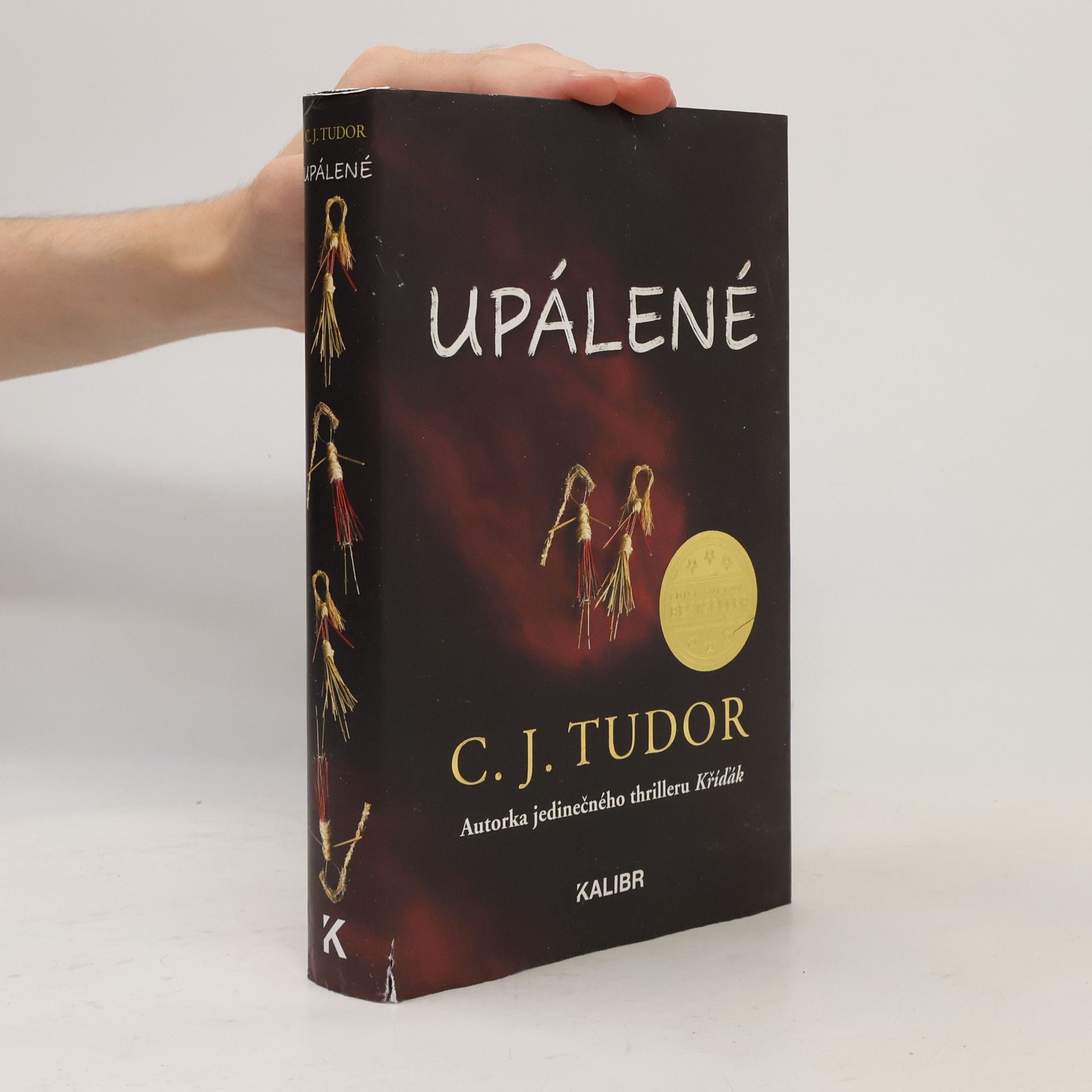 C. J. Tudor Upálené