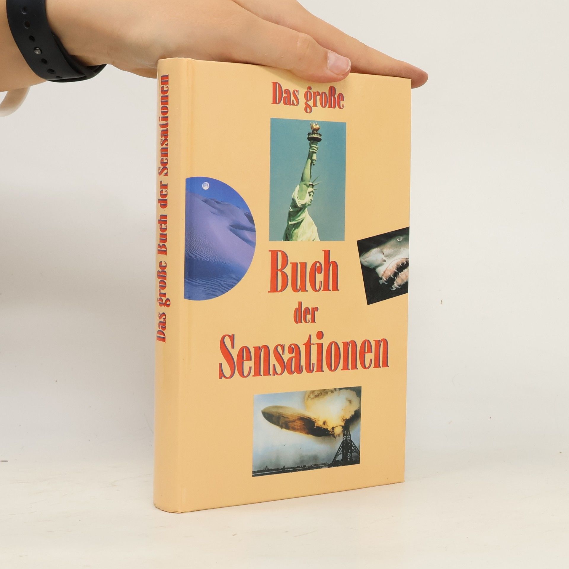 Linda Amon Das große Buch der Sensationen