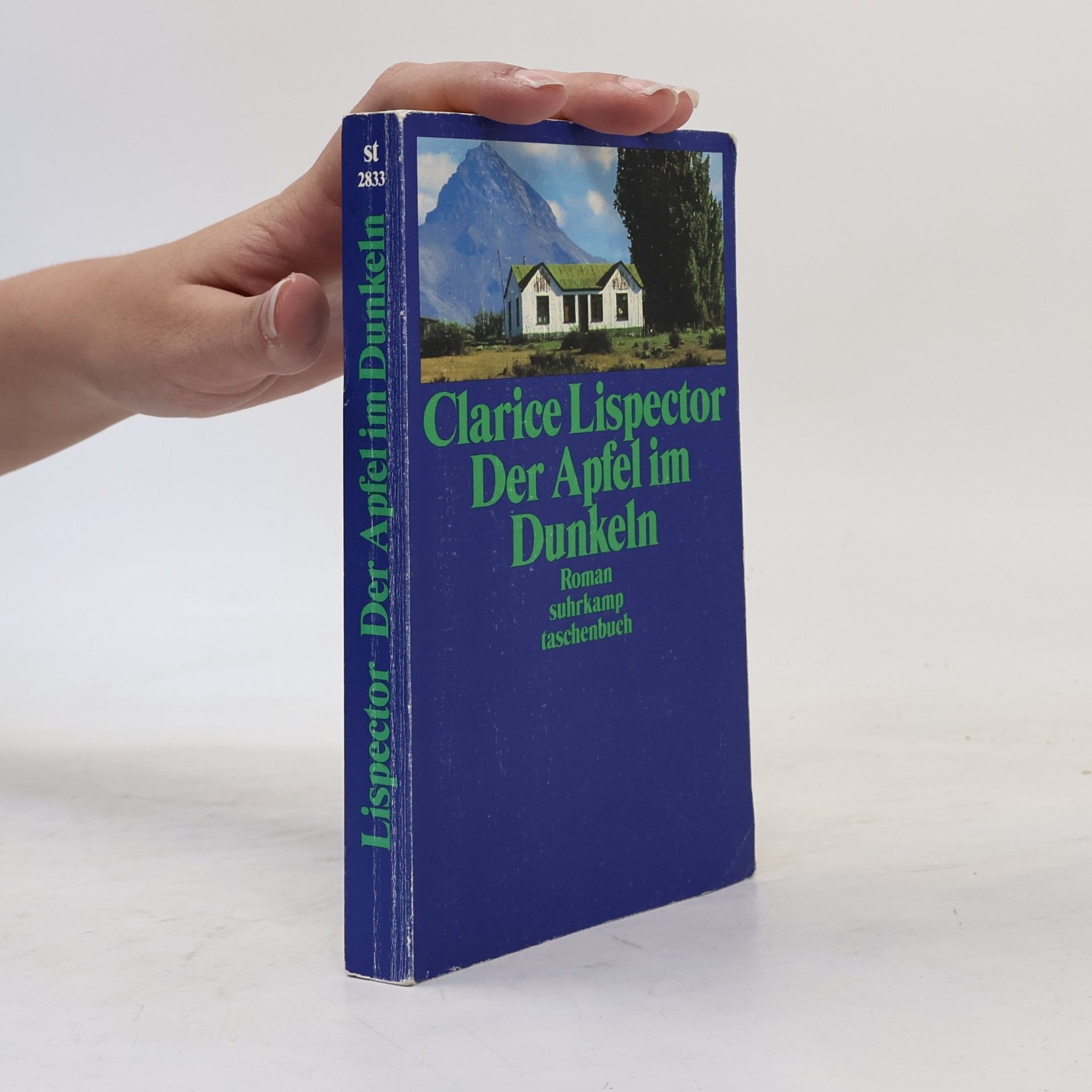 Clarice Lispector Der Apfel im Dunkeln. Roman