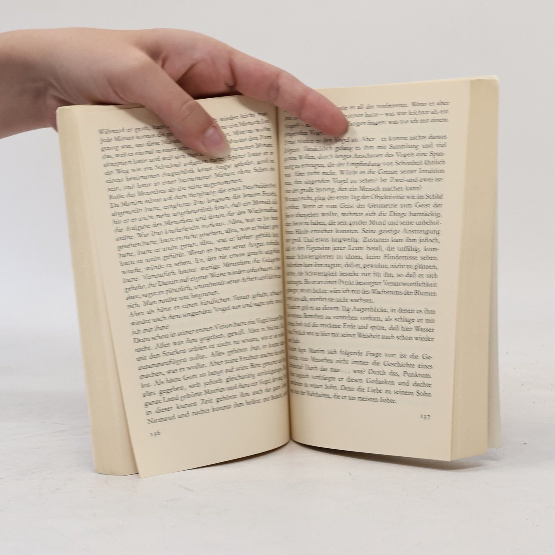 Clarice Lispector Der Apfel im Dunkeln. Roman