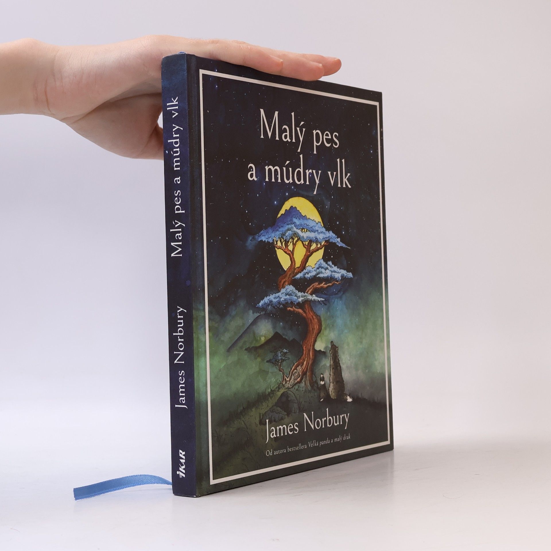 James Norbury Malý pes a múdry vlk