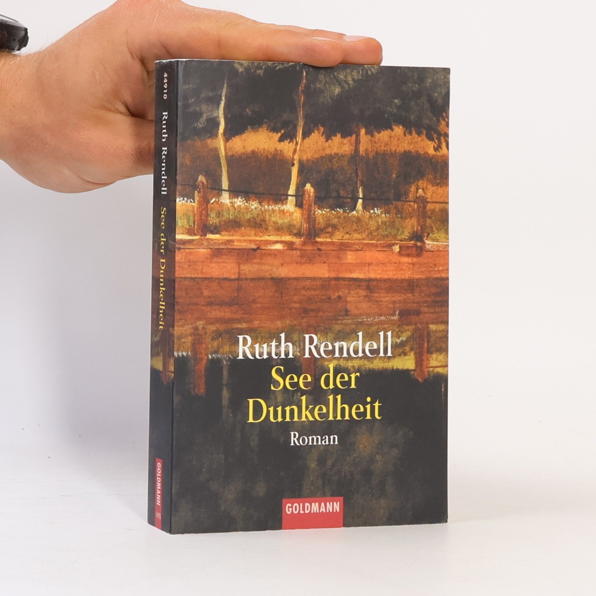 Ruth Rendell See der Dunkelheit