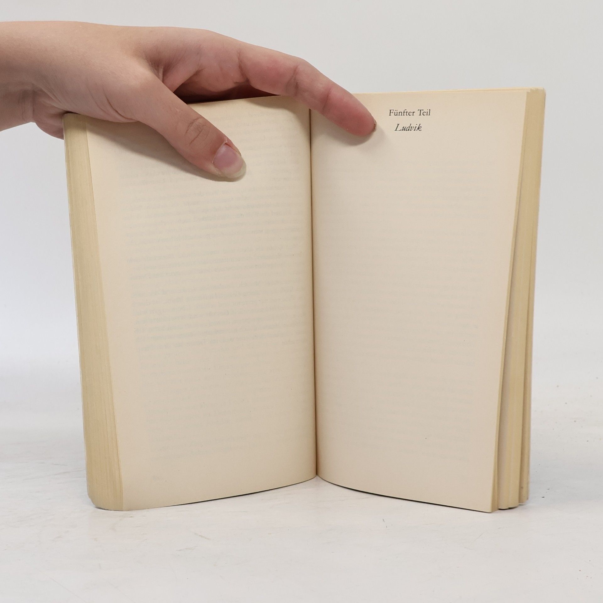 Milan Kundera Der Scherz