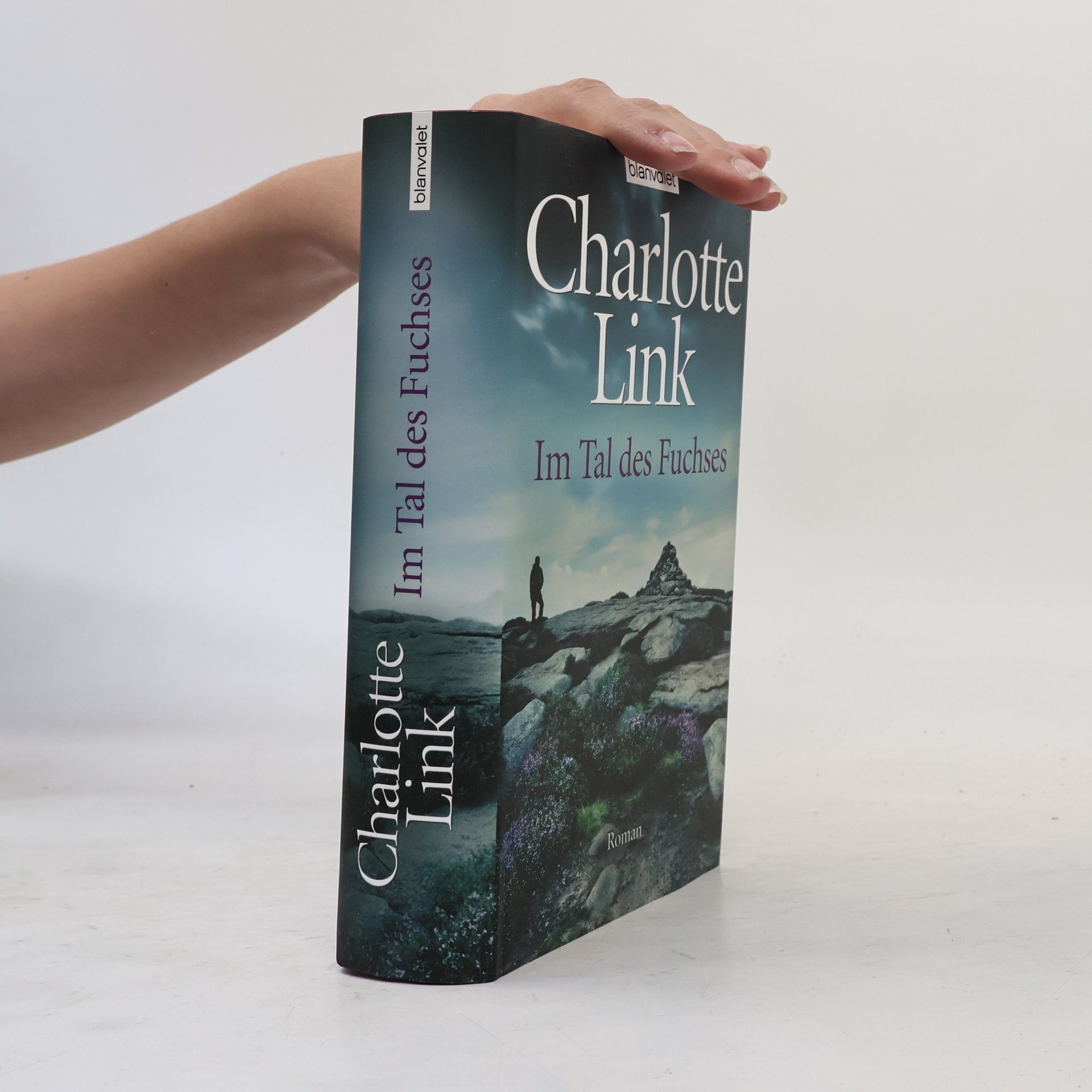 Charlotte Link Im Tal des Fuchses