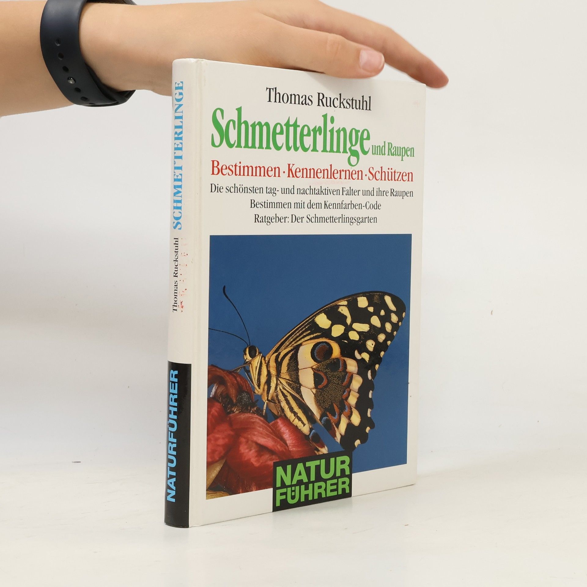 Thomas Ruckstuhl Schmetterlinge und Raupen. Bestimmen - Kennenlernen - Schützen