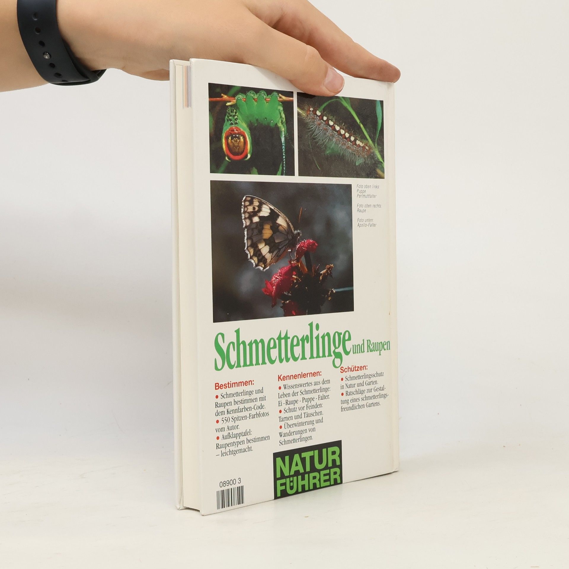 Thomas Ruckstuhl Schmetterlinge und Raupen. Bestimmen - Kennenlernen - Schützen