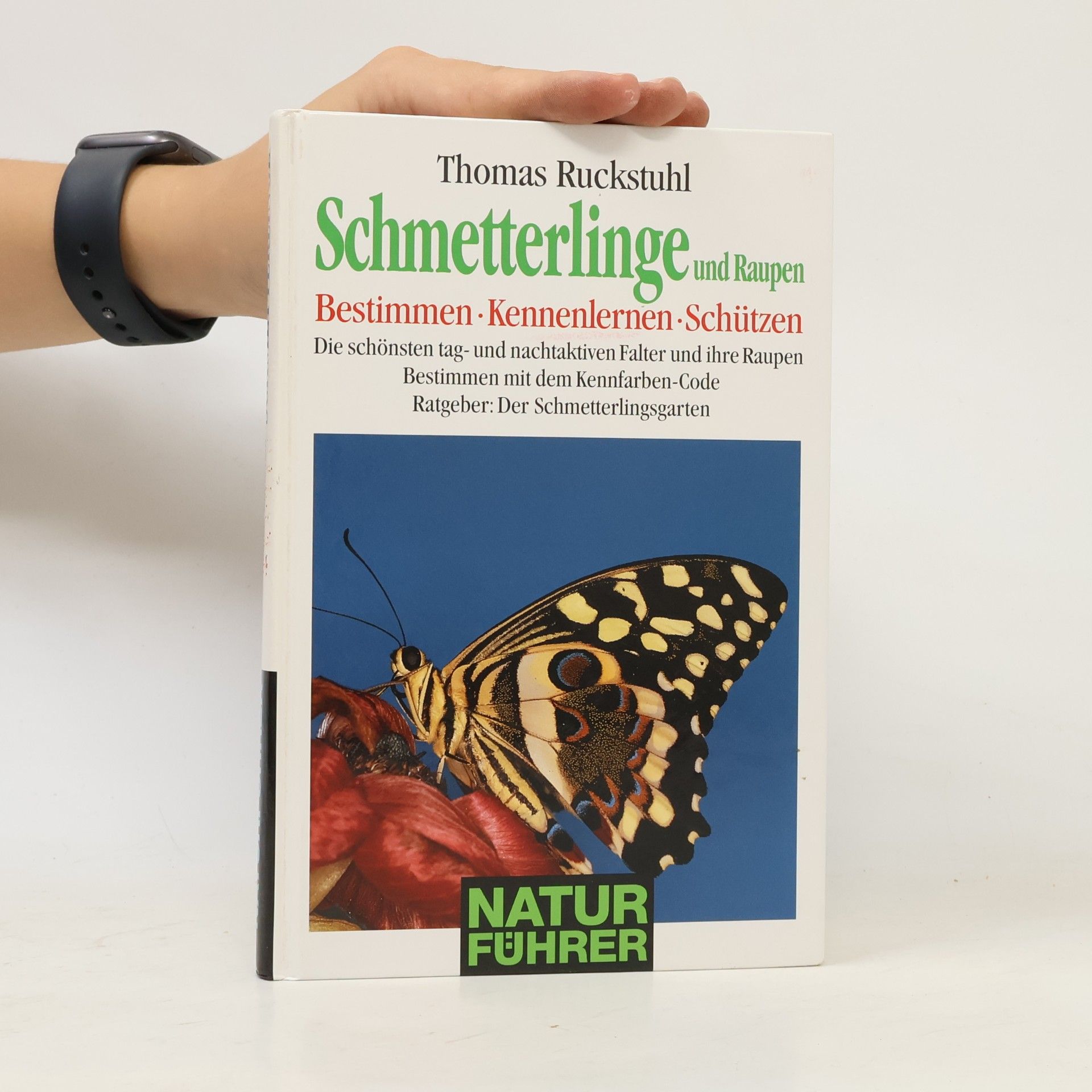 Thomas Ruckstuhl Schmetterlinge und Raupen. Bestimmen - Kennenlernen - Schützen