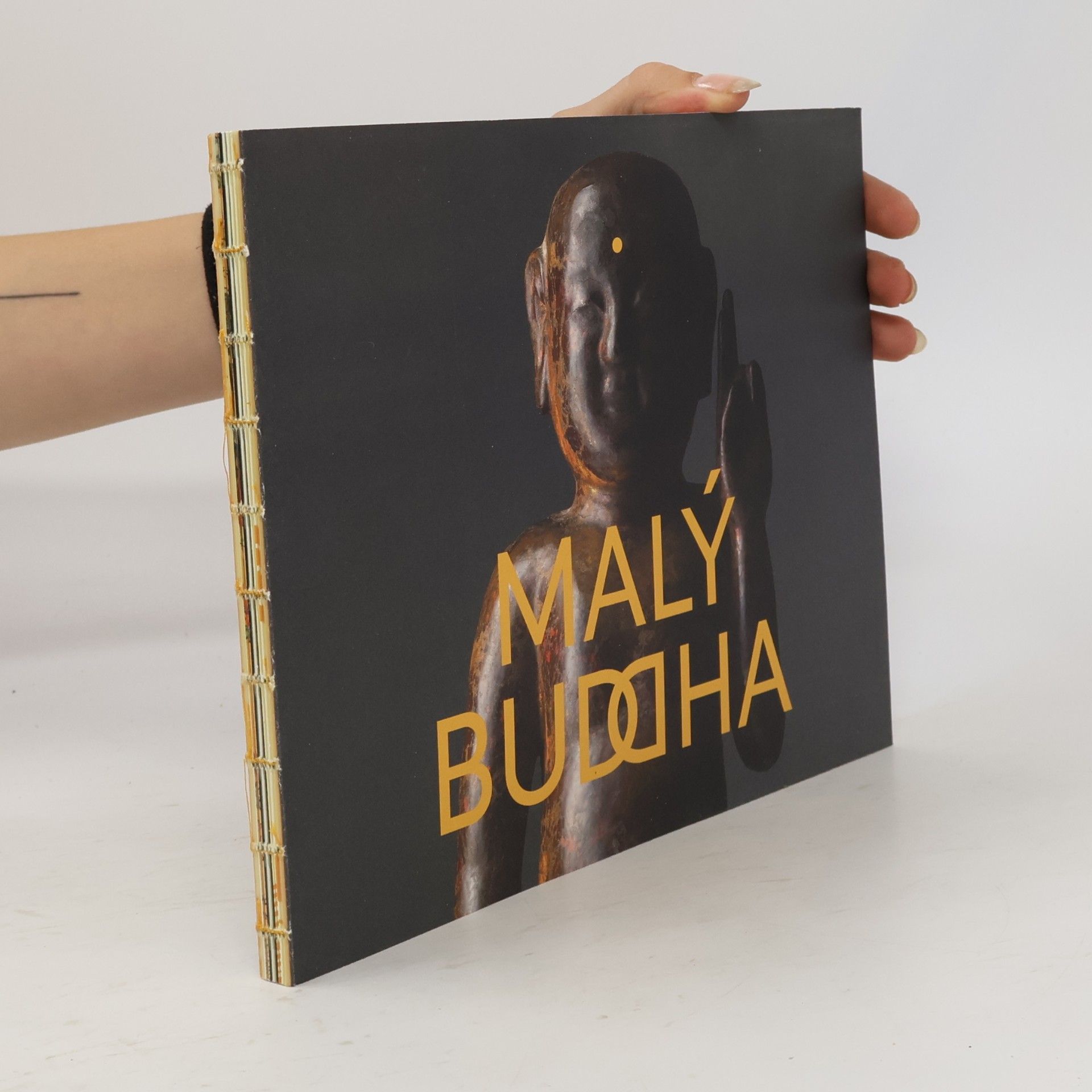 Blanka Kafková Malý Buddha