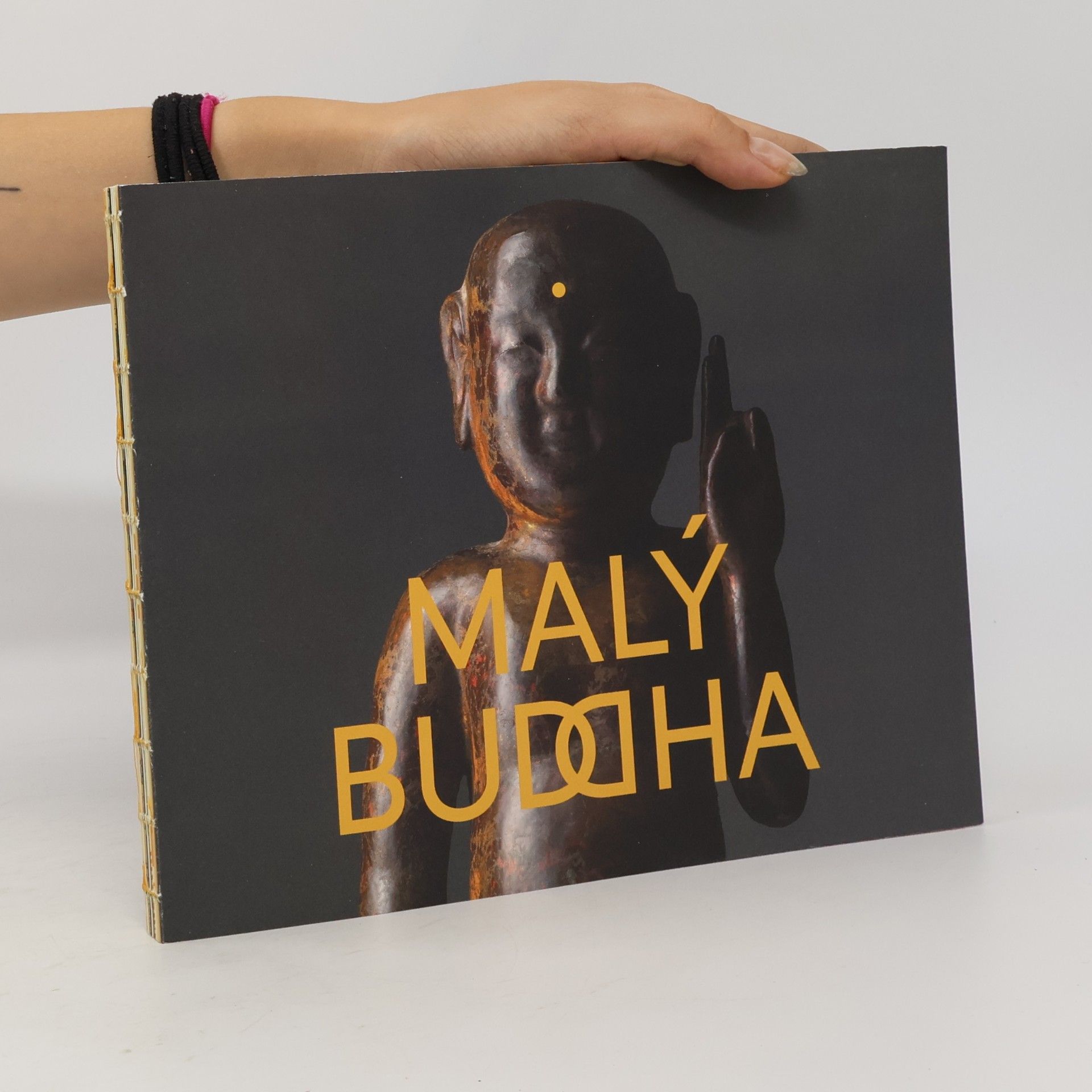 Blanka Kafková Malý Buddha