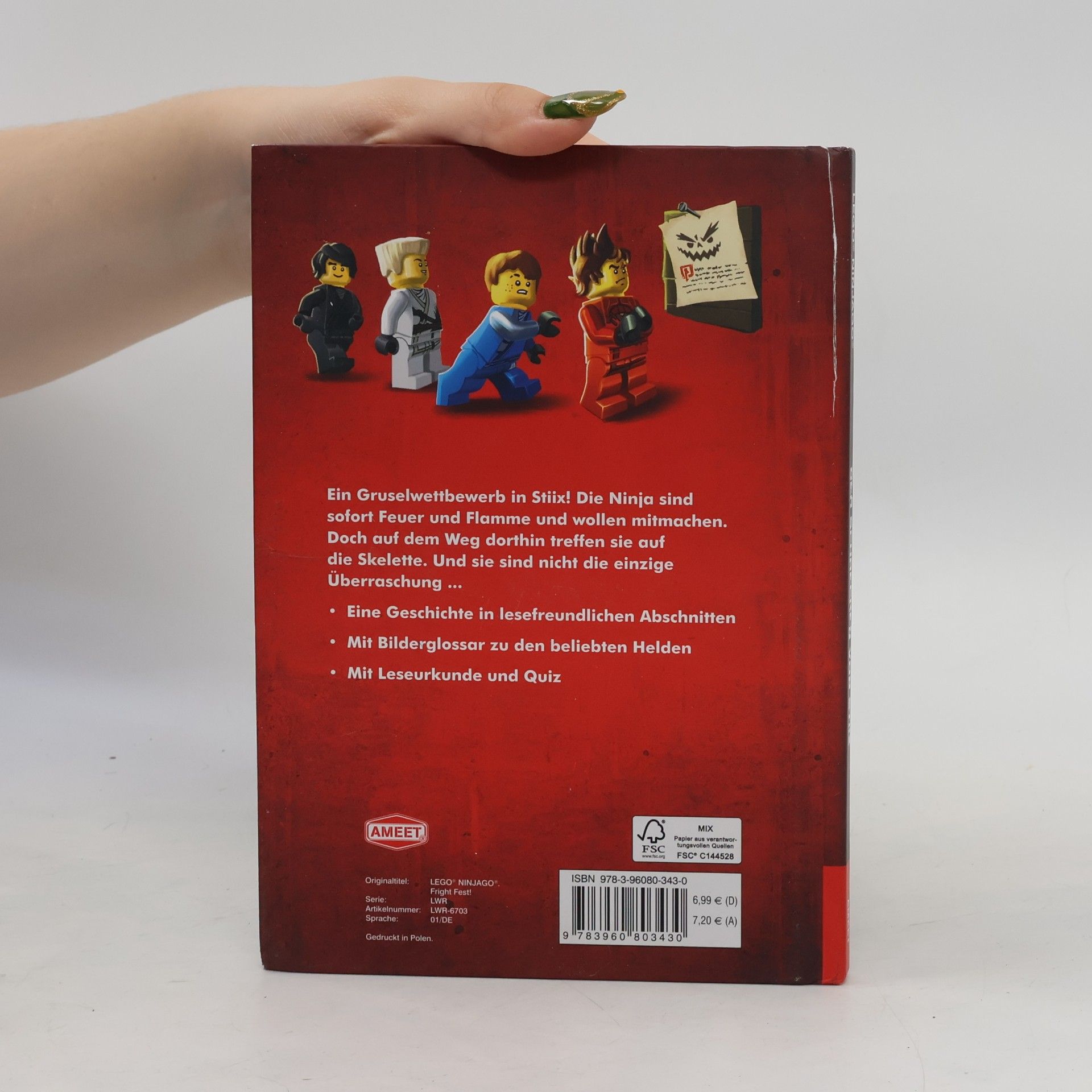 Lori Wieczorek LEGO NINJAGO LEGACY - der Schrecken von Stiix