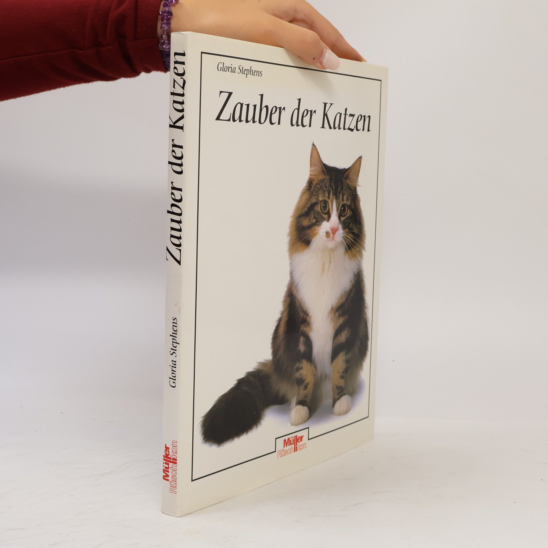 Gloria Stephens Zauber der Katzen