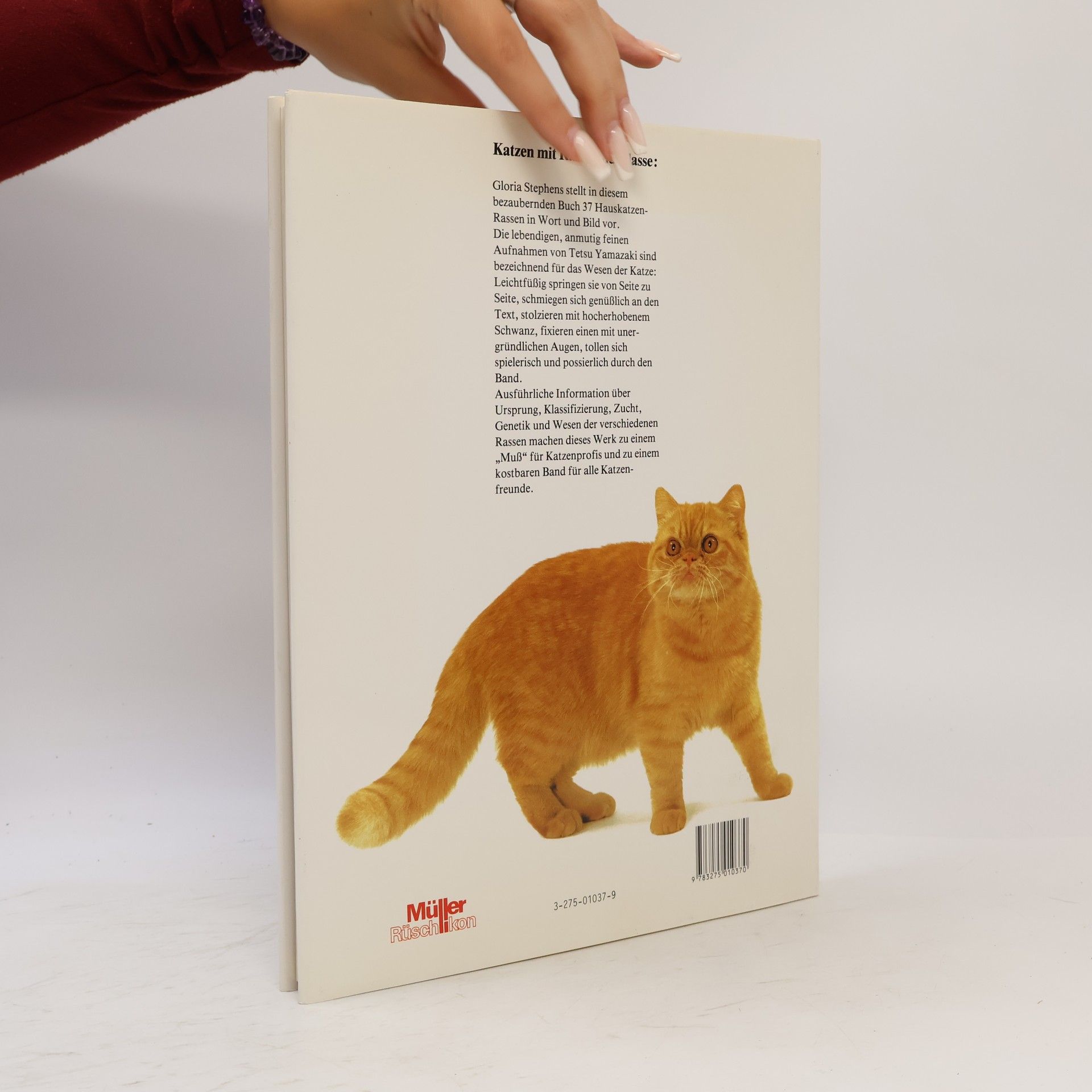 Gloria Stephens Zauber der Katzen
