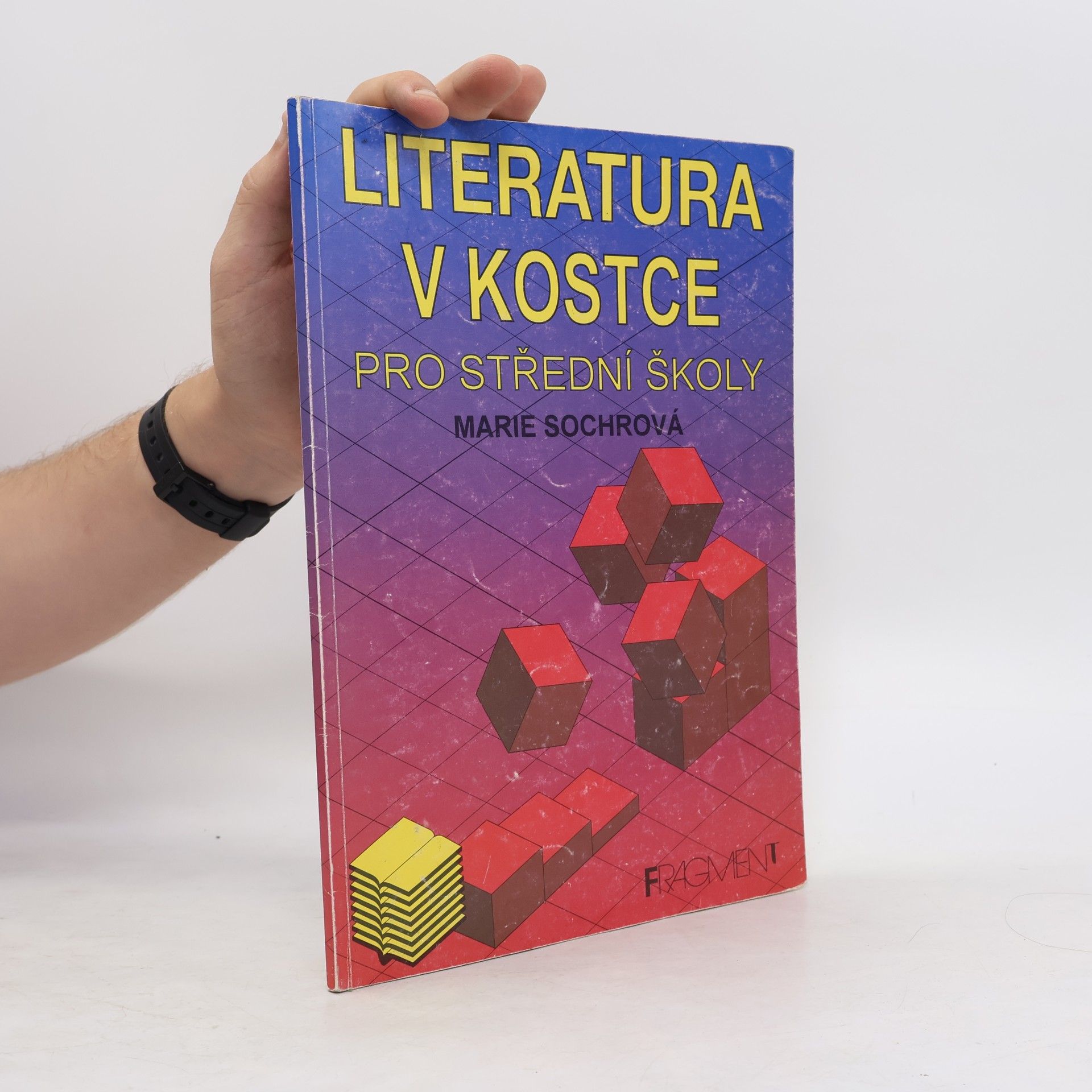Tomáš Řízek Literatura v kostce