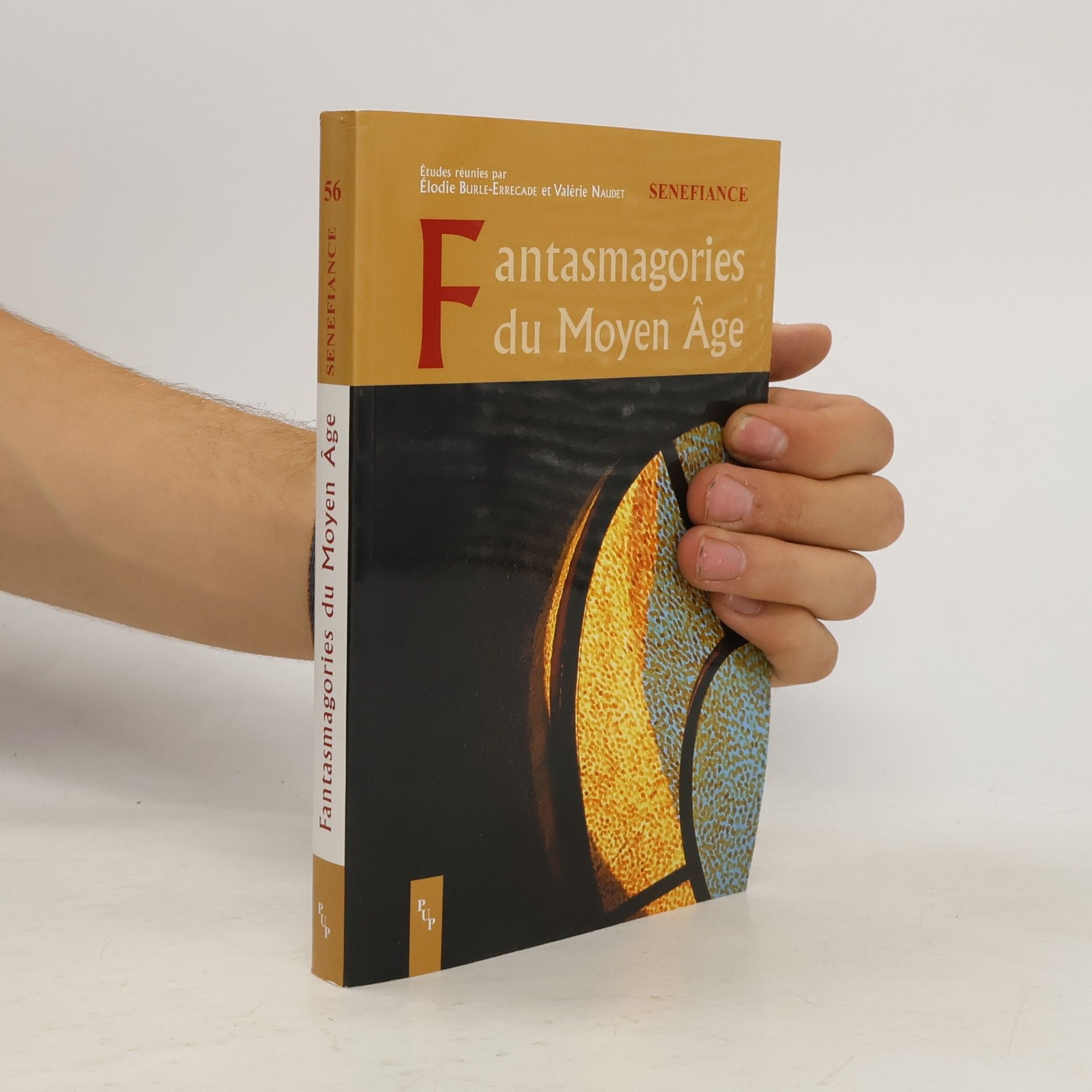 Valérie Naudet Fantasmagorie au Moyen Âge