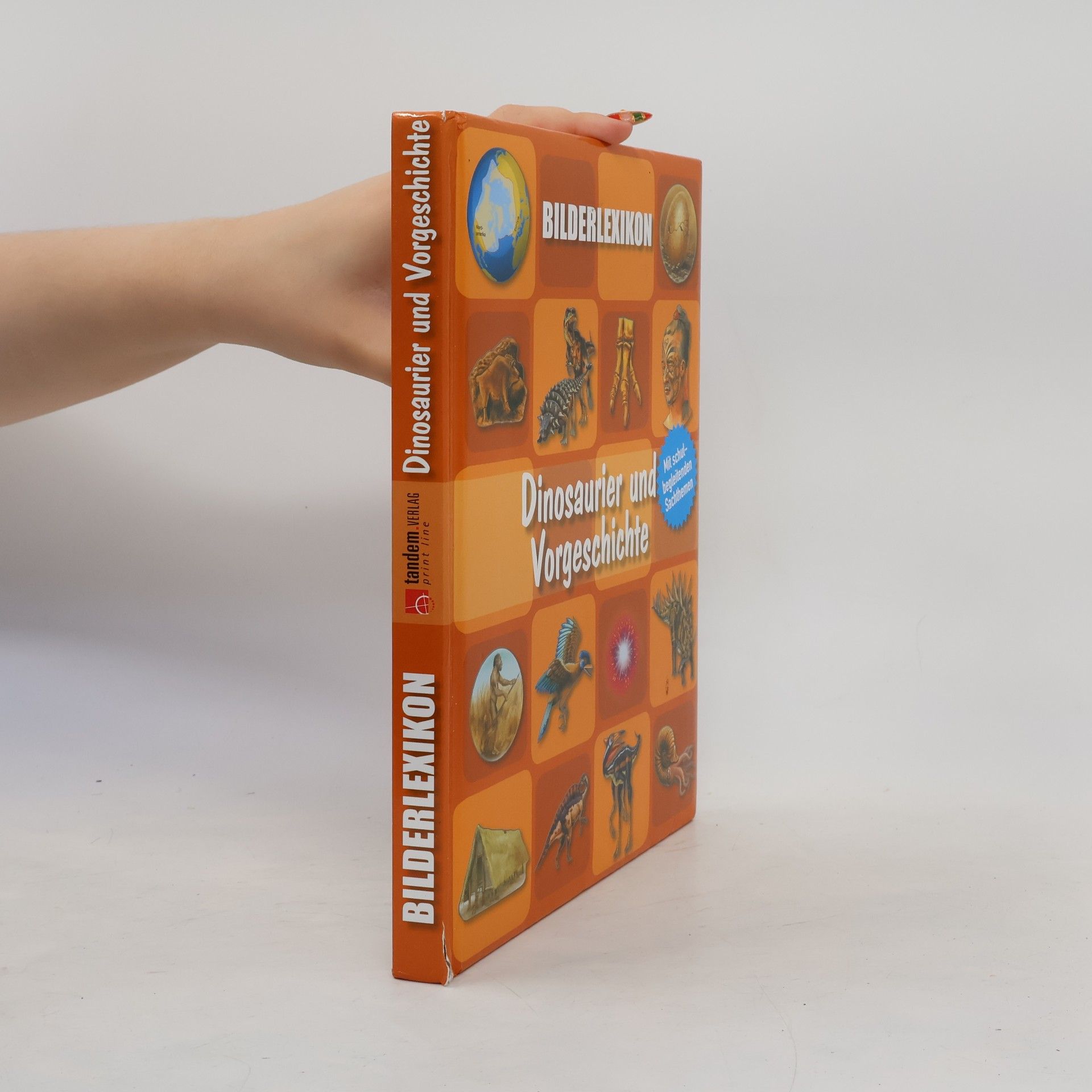 Autorenkollektiv Bilderlexikon. Dinosaurier und Vorgeschichte