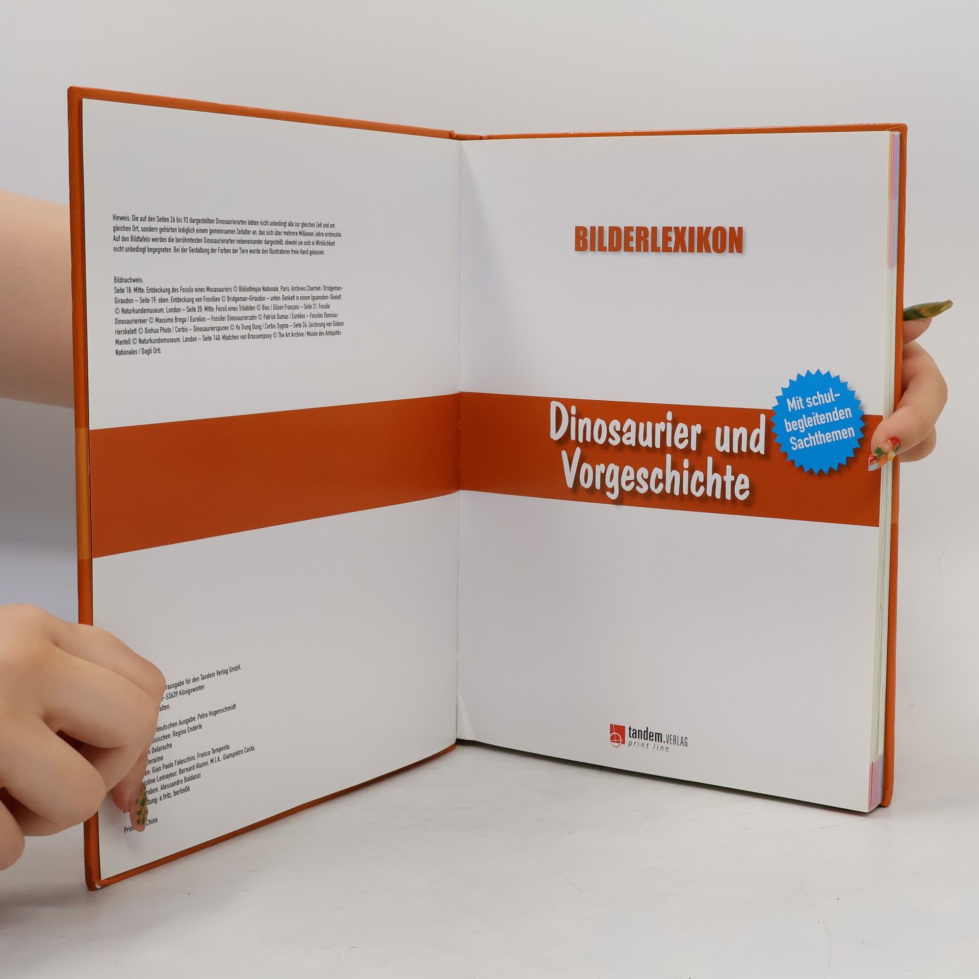 Autorenkollektiv Bilderlexikon. Dinosaurier und Vorgeschichte