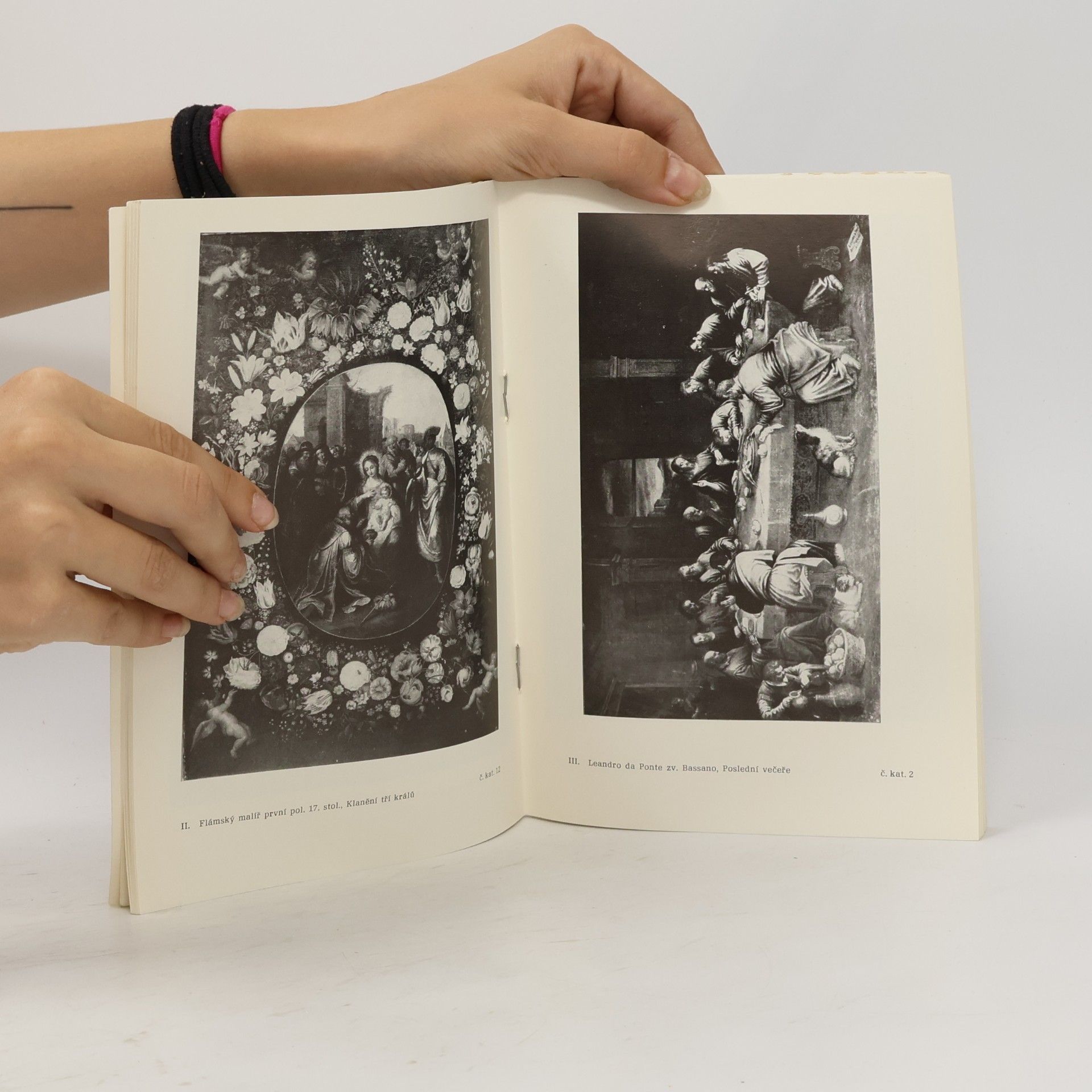 Collectif d'auteurs Malířství 17. a 18. století ve státních zámcích východních Čech