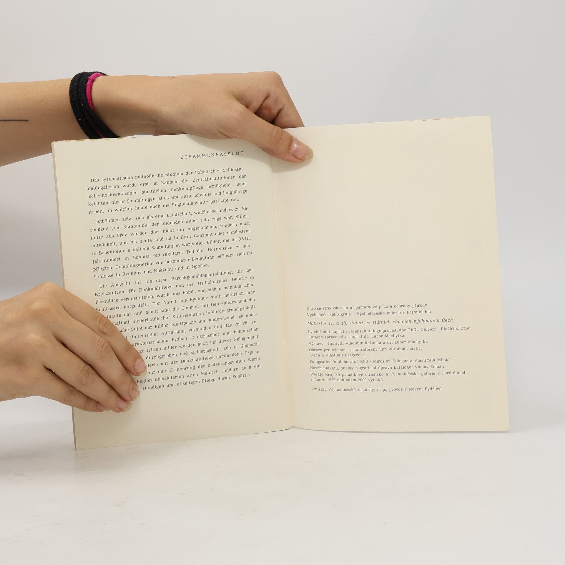 Collectif d'auteurs Malířství 17. a 18. století ve státních zámcích východních Čech