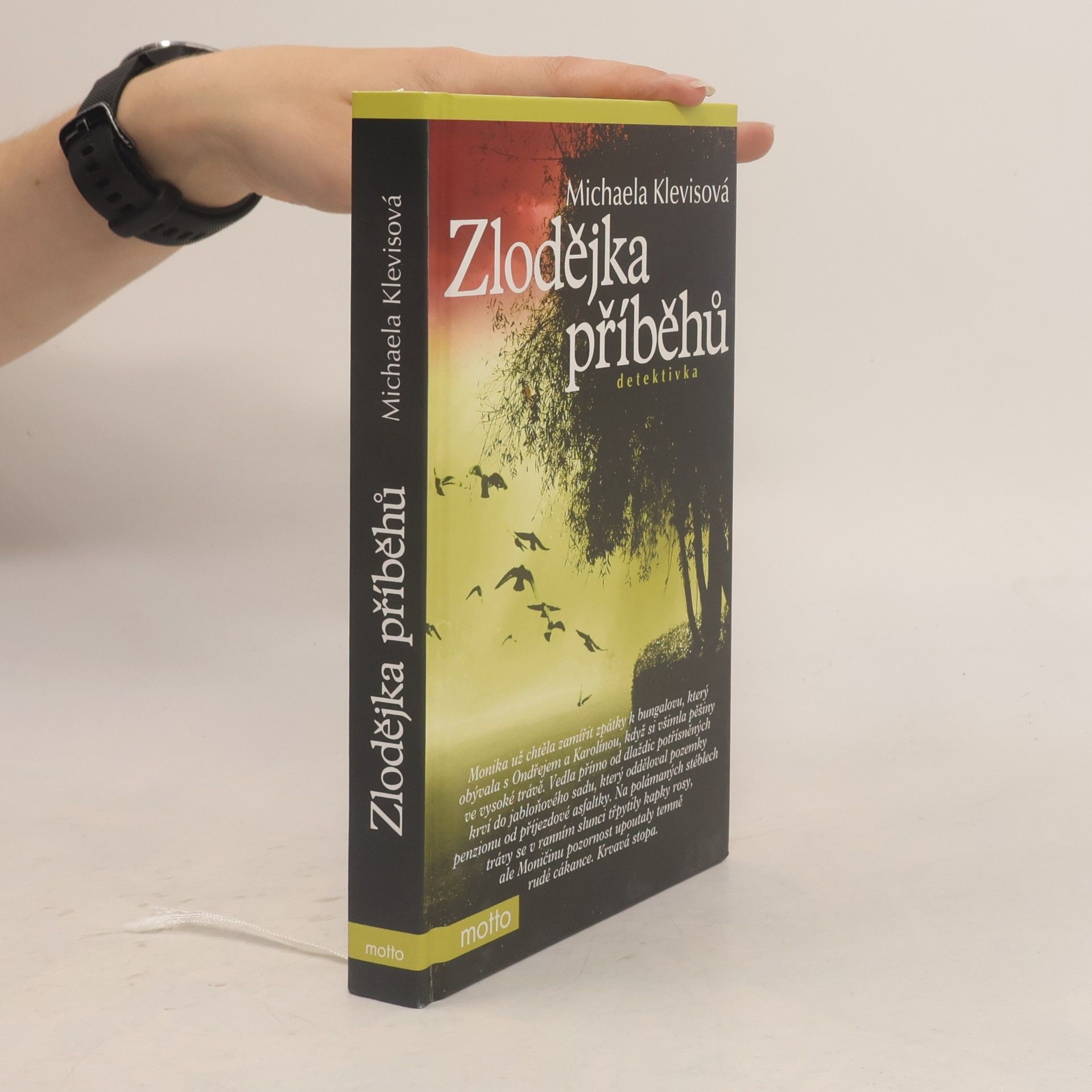 Michaela Klevisová Zlodějka příběhů