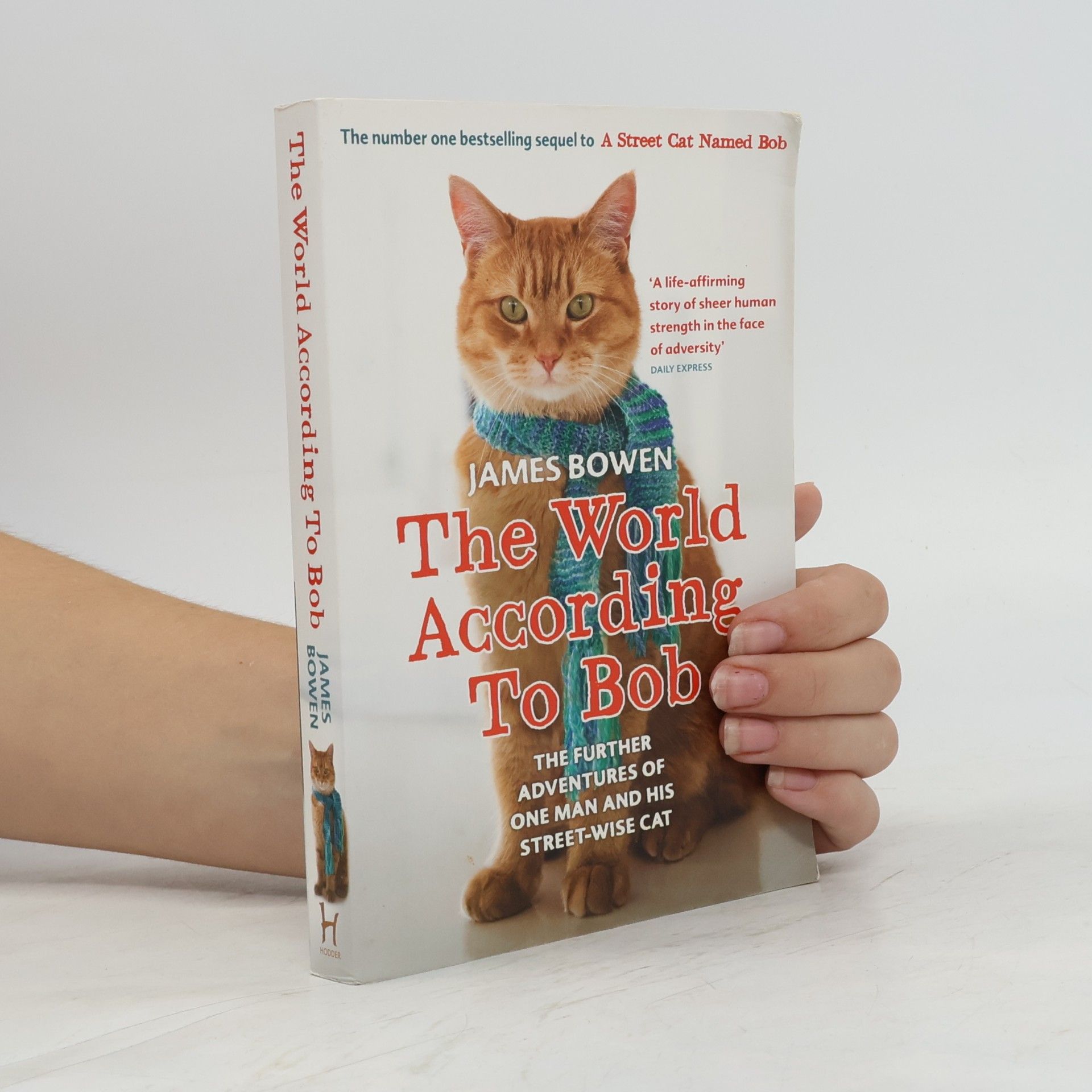 James Bowen The World According To Bob