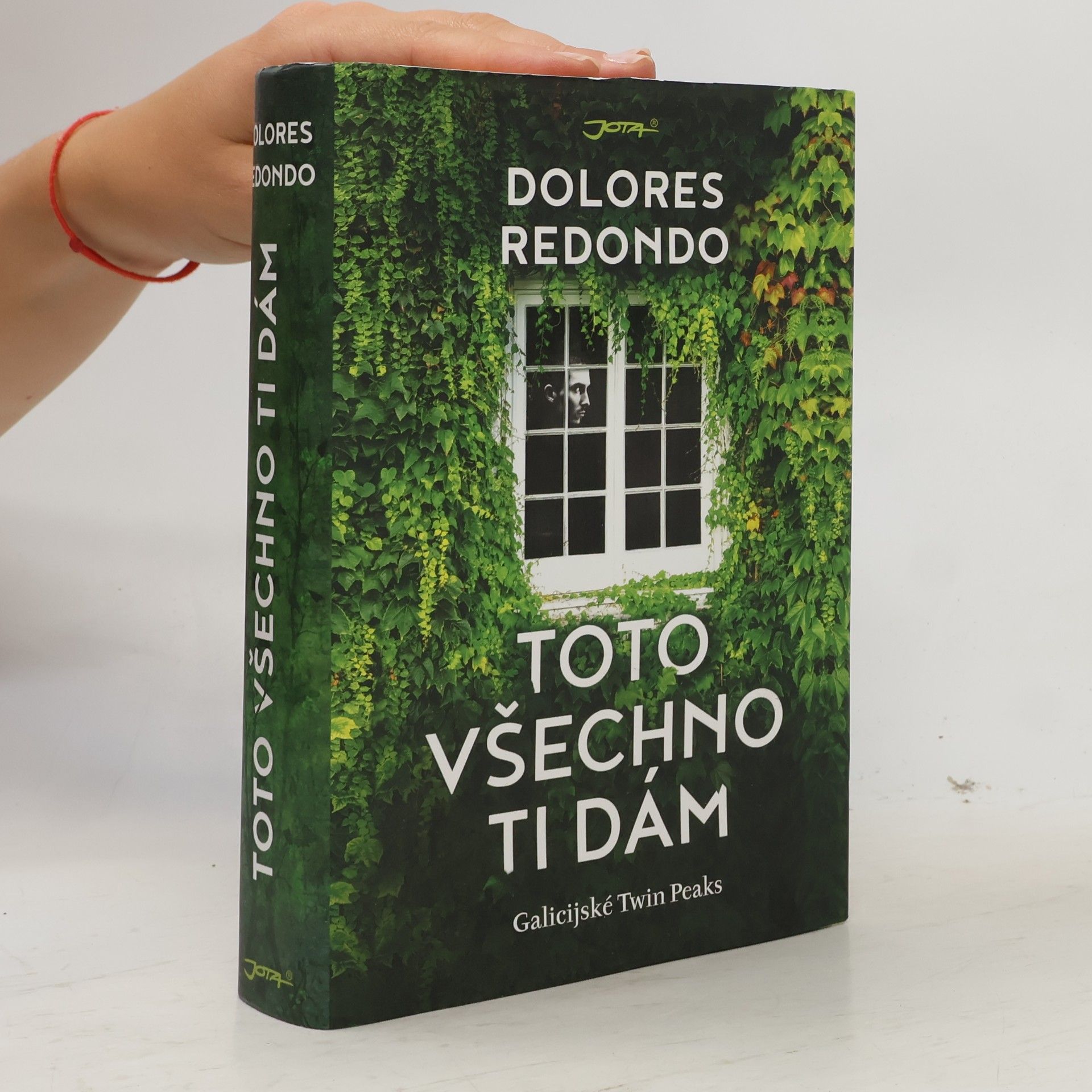 Dolores Redondo Toto všechno ti dám
