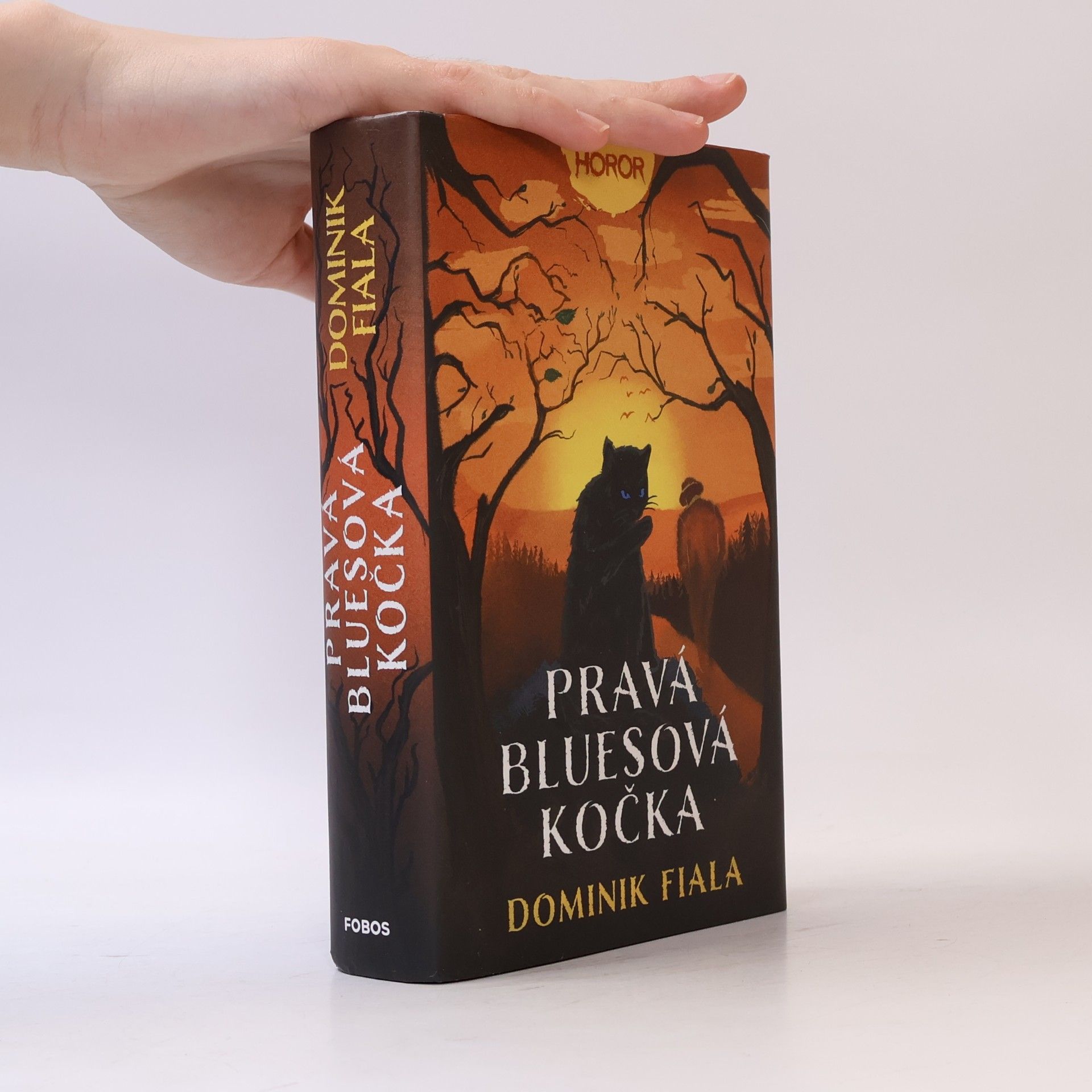 Pravá bluesová kočka