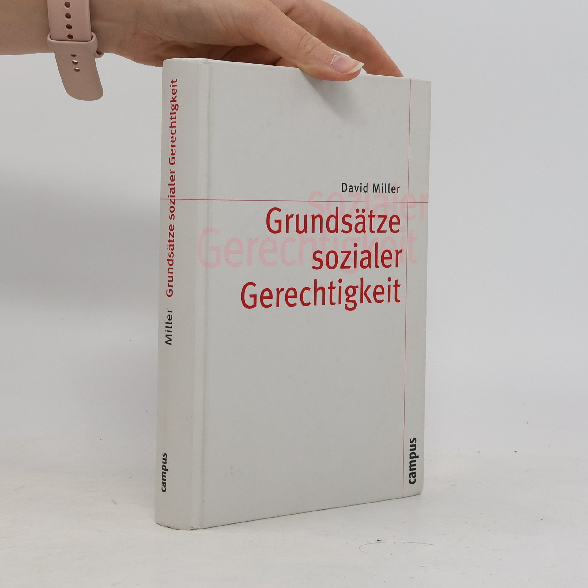 David Leslie Miller Theorie und Gesellschaft - 58: Grundsätze sozialer Gerechtigkeit