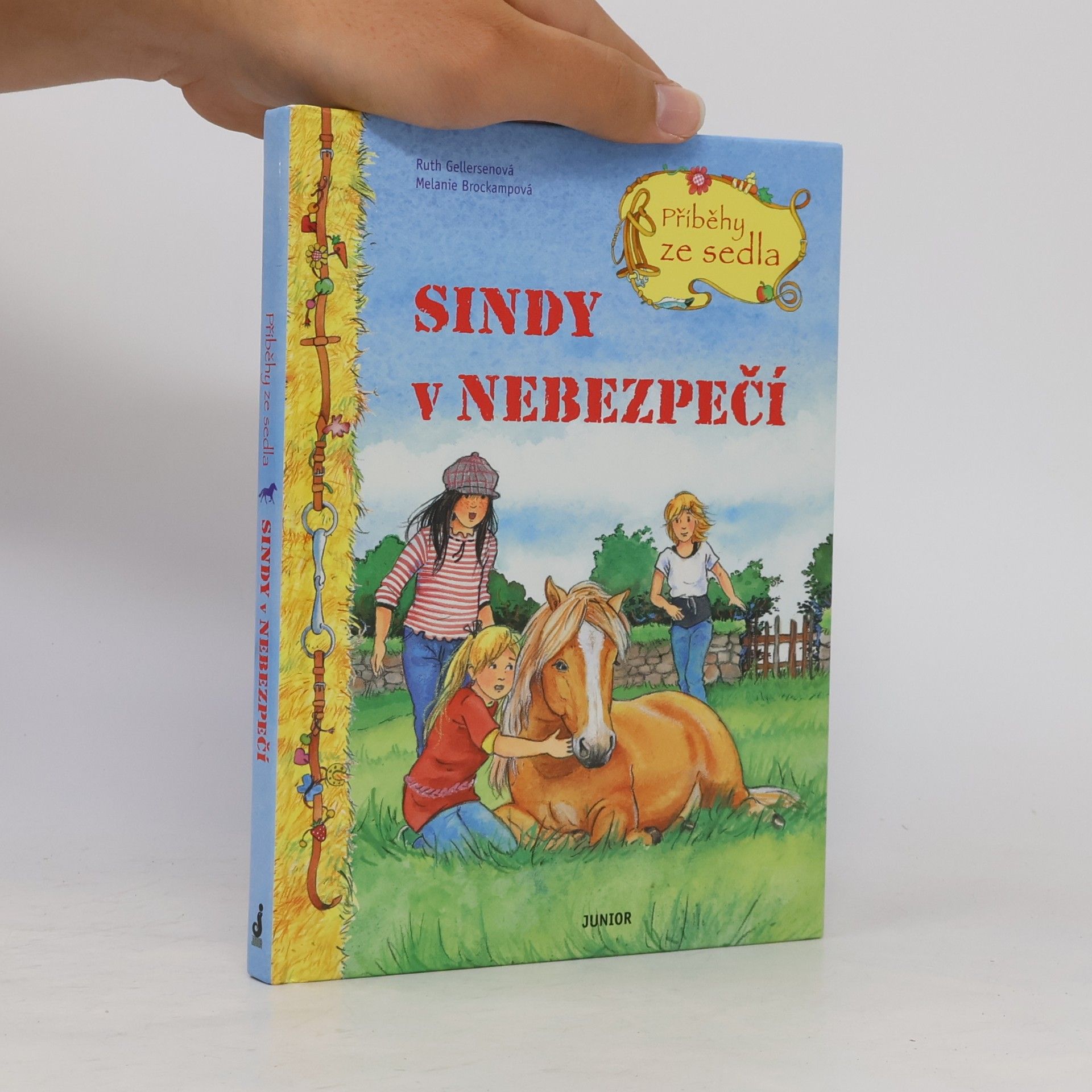 Sindy v nebezpečí