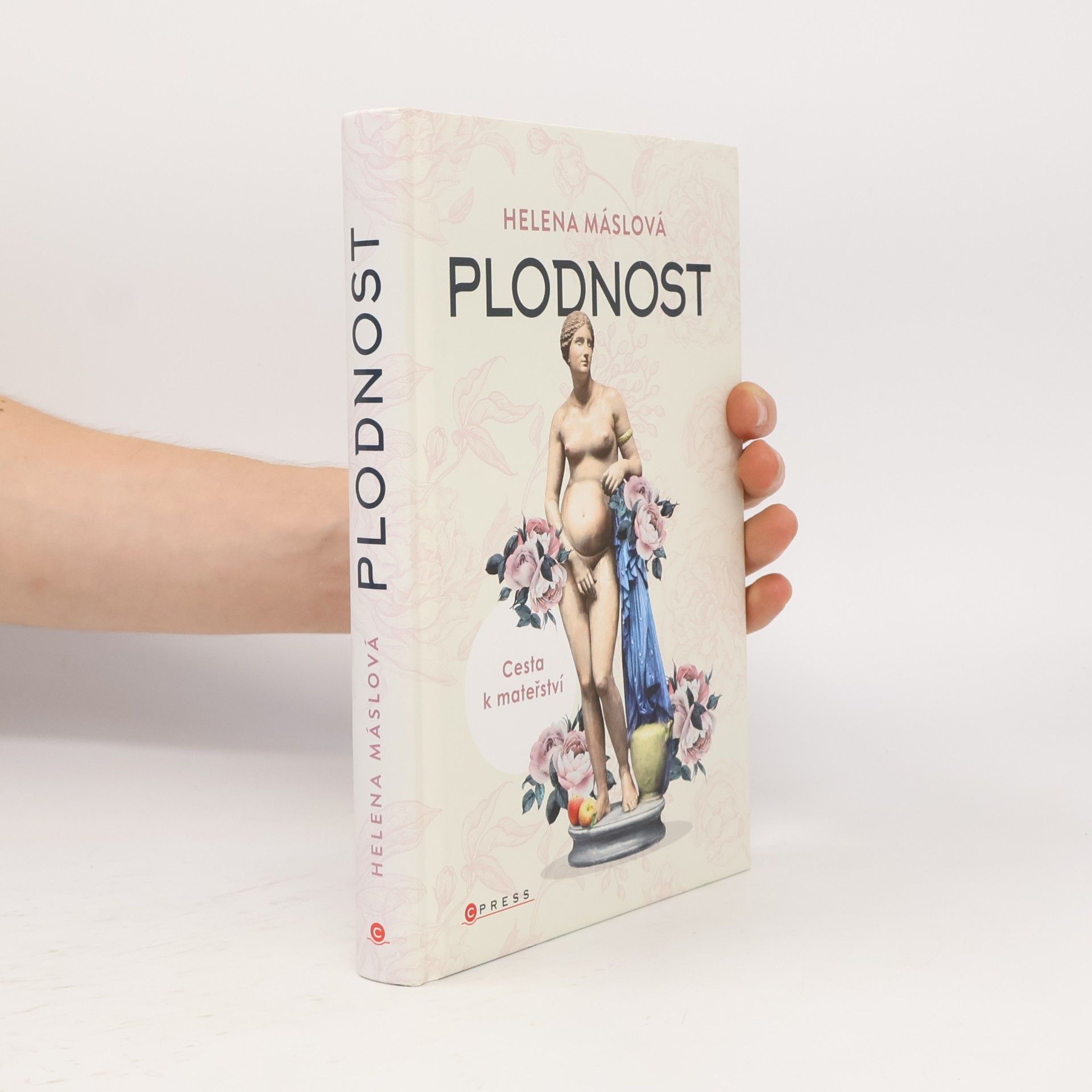 Helena Máslová Plodnost : cesta k mateřství