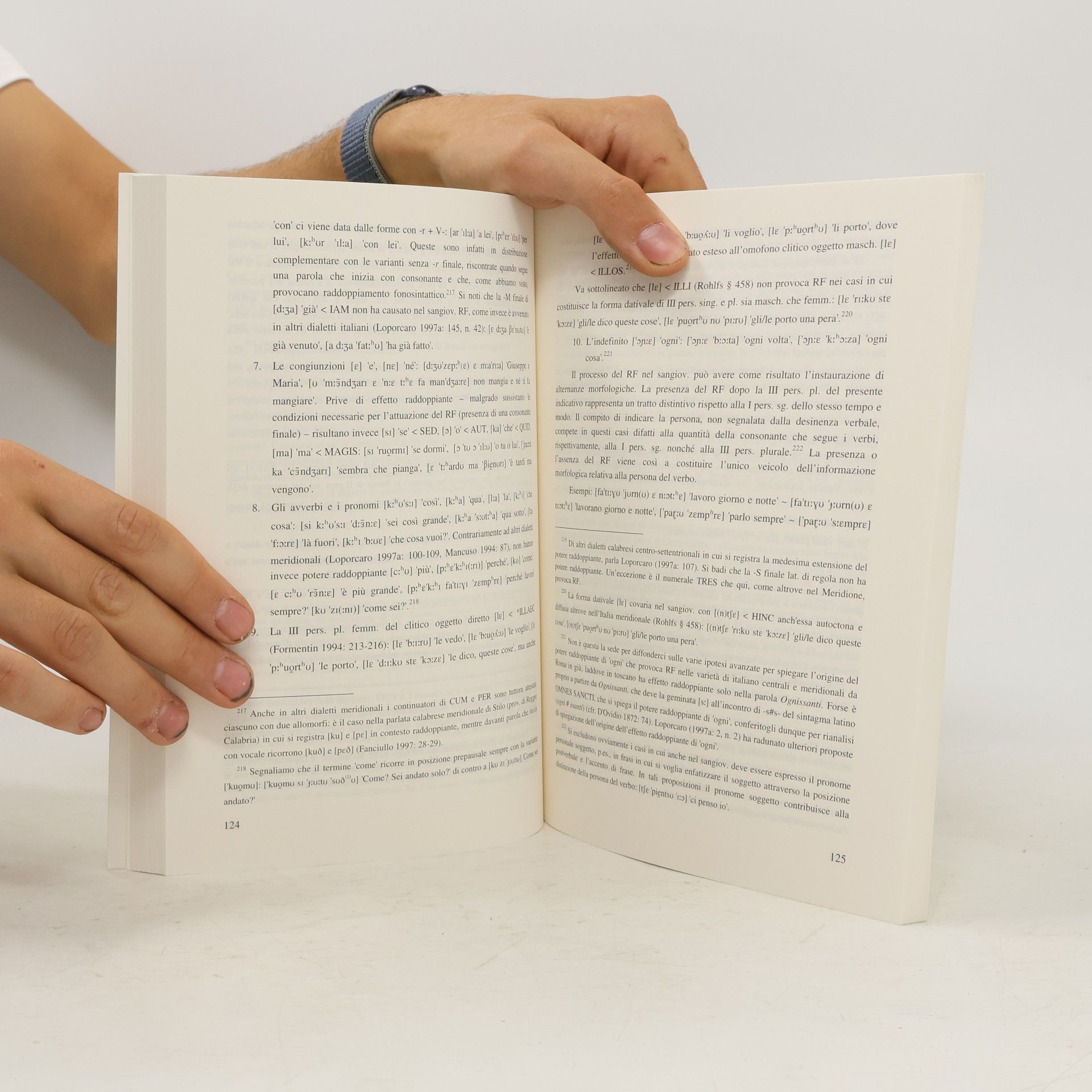 Biagio Mele Romanica Helvetica - 129: Fonetica e fonologia del dialetto di San Giovanni in Fiore