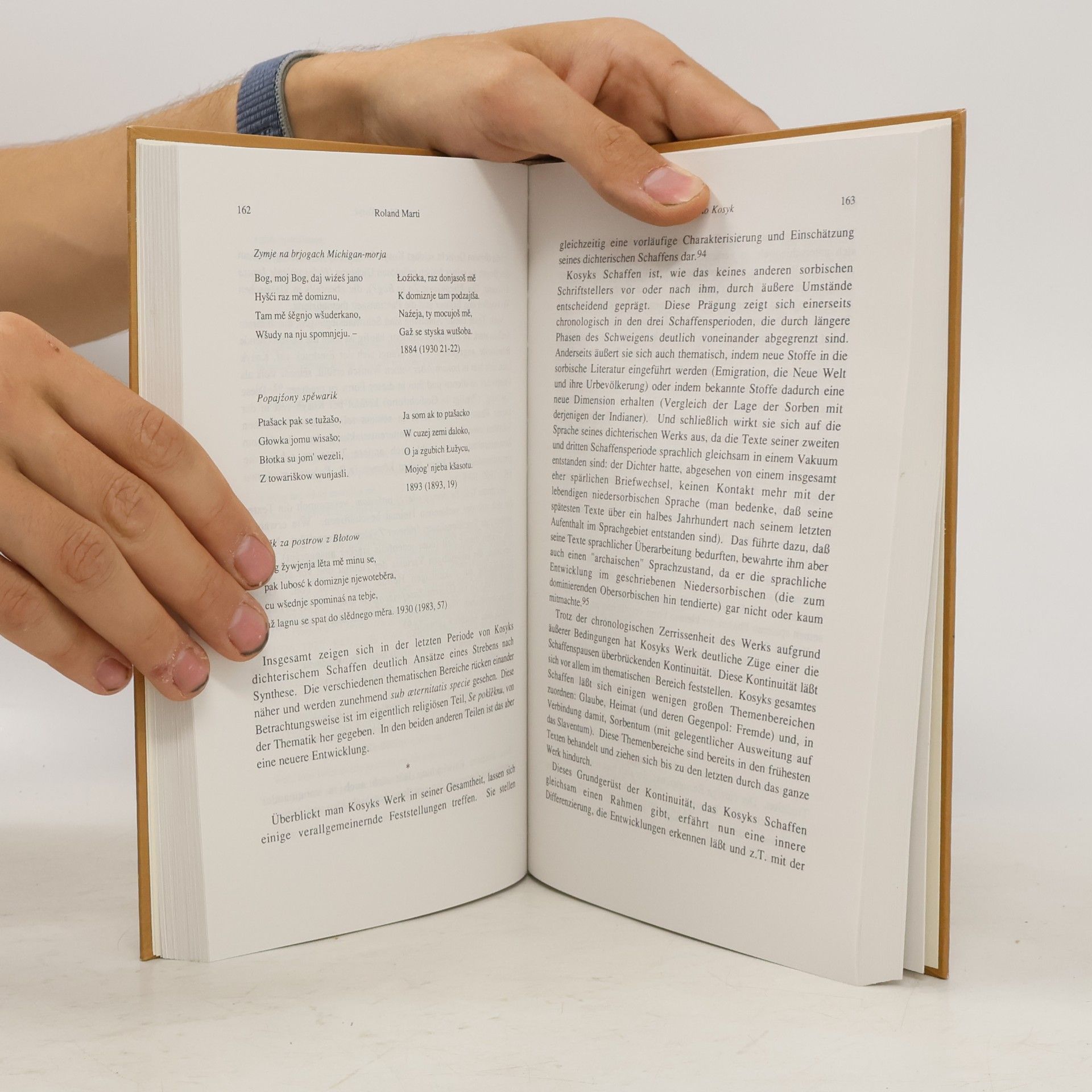 Walter Koschmal Schriften des Komitees der Bundesrepublik Deutschland zur Förderung der Slawischen Studien - 19: Perspektiven sorbischer Literatur