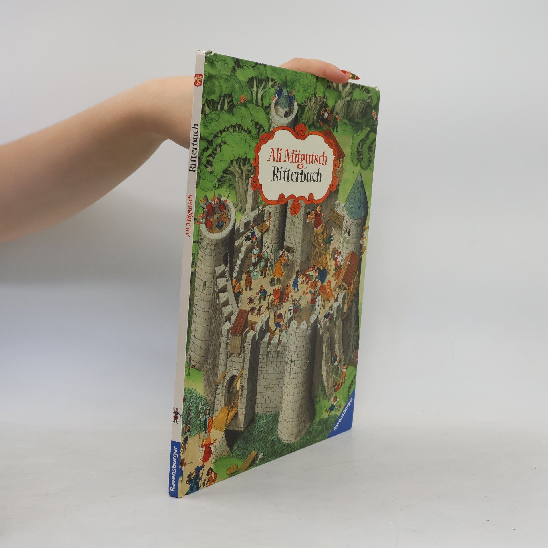 Ali Mitgutsch Ritterbuch
